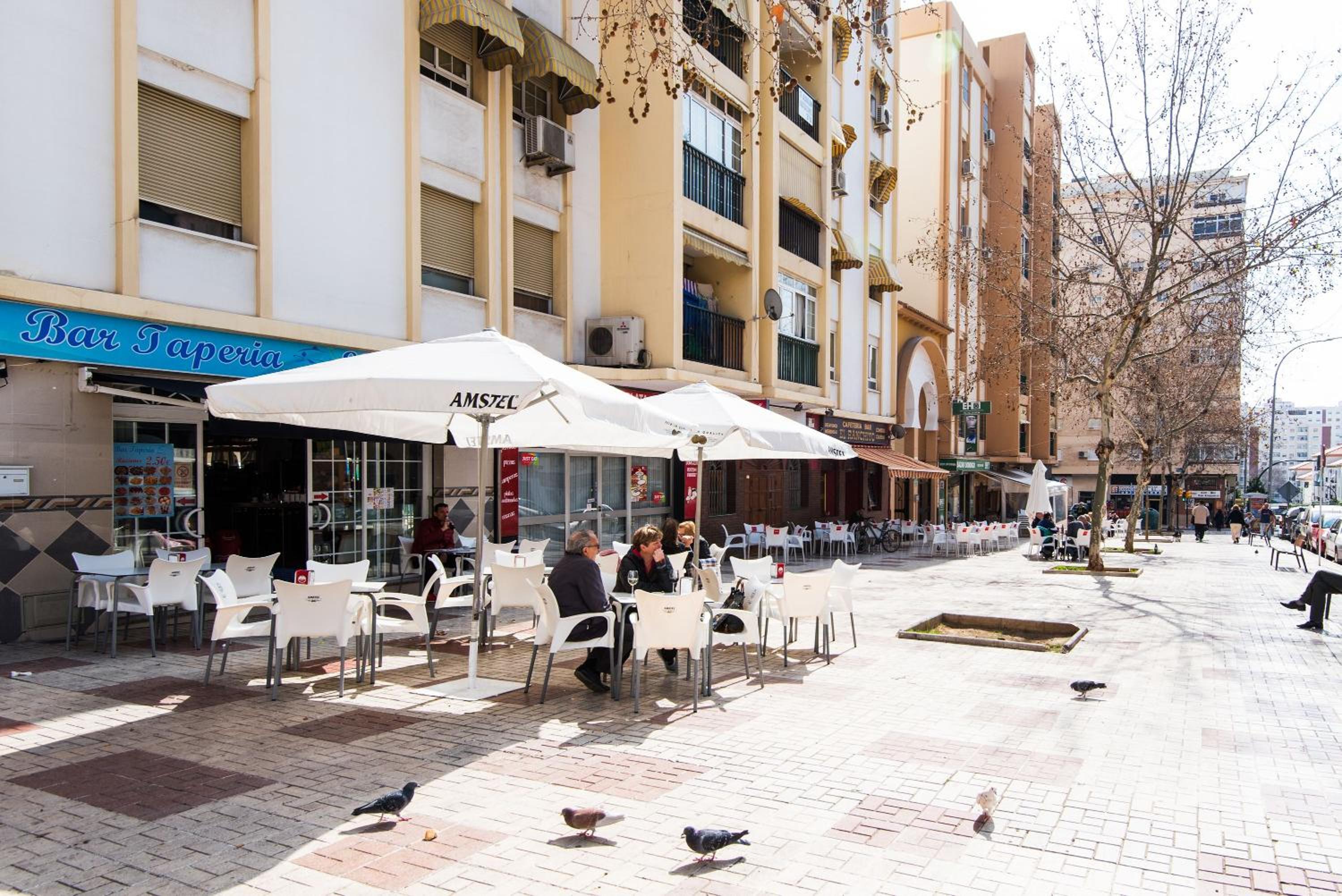 Loft Malagasol