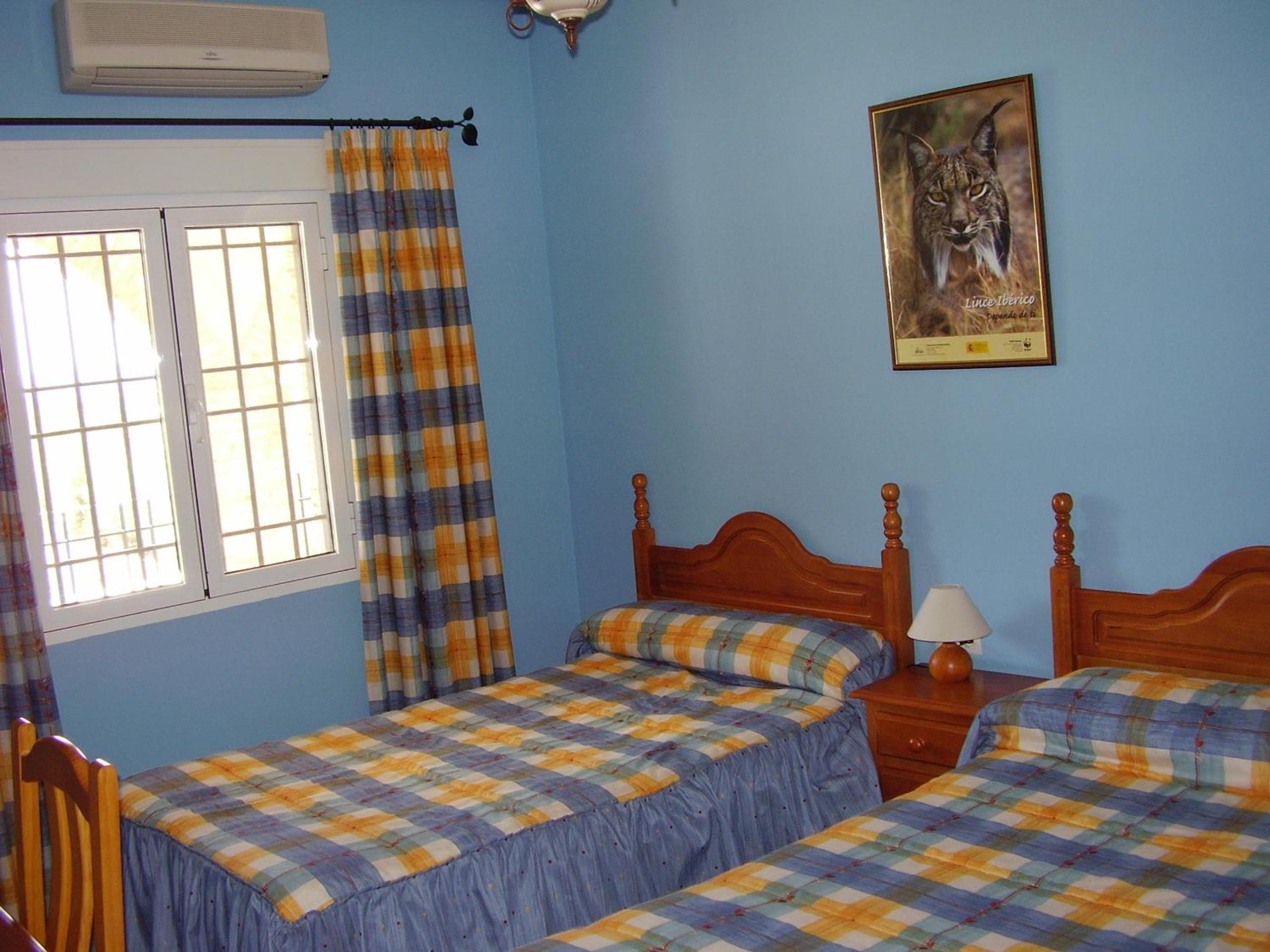 Photo 45
