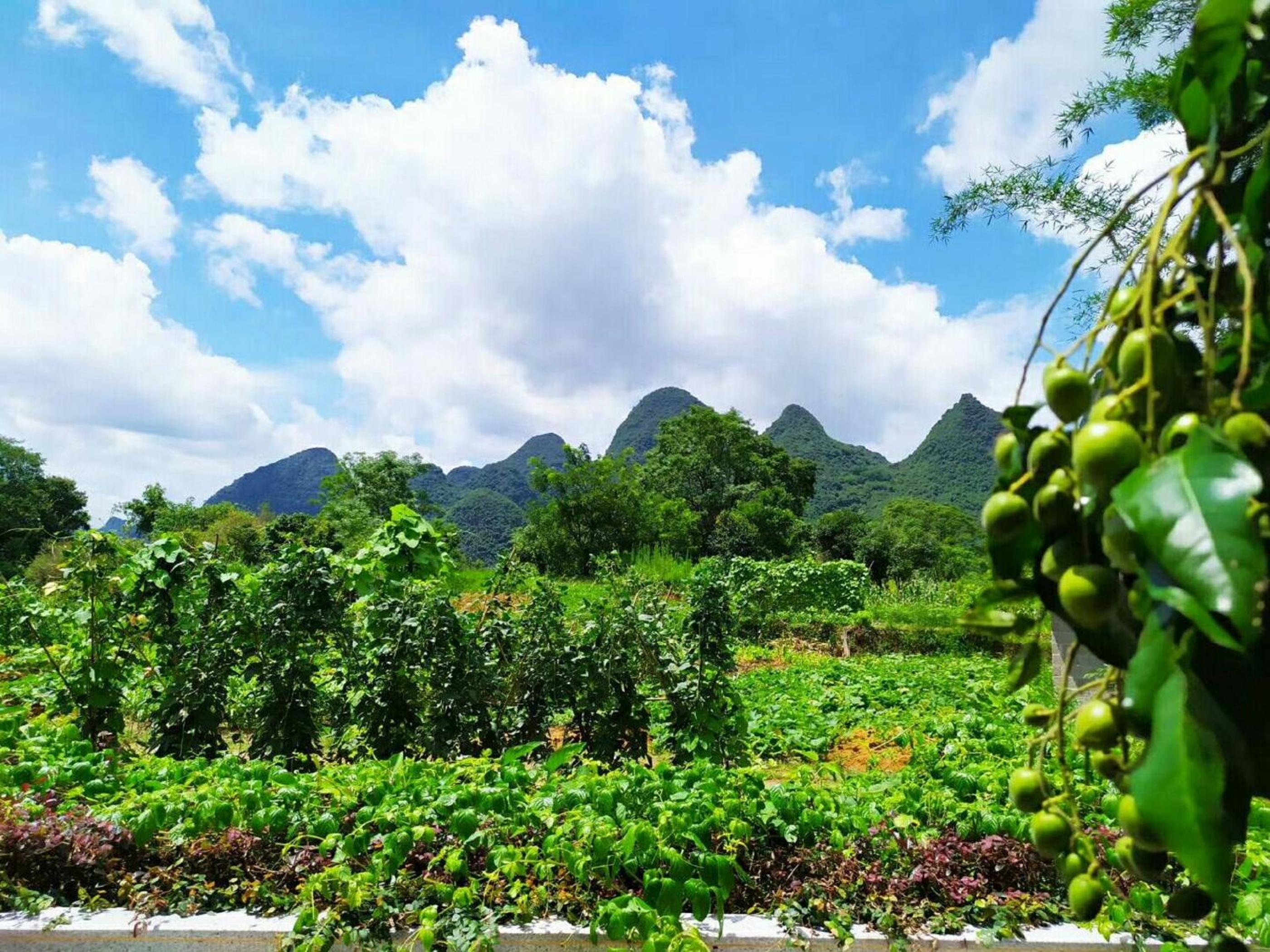 Yangshuo Coco Garden Hotel