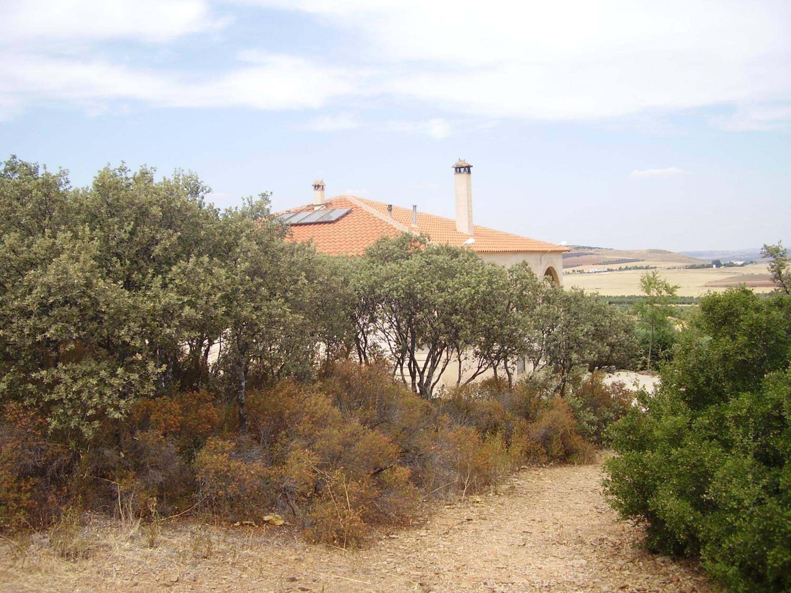 Photo 43