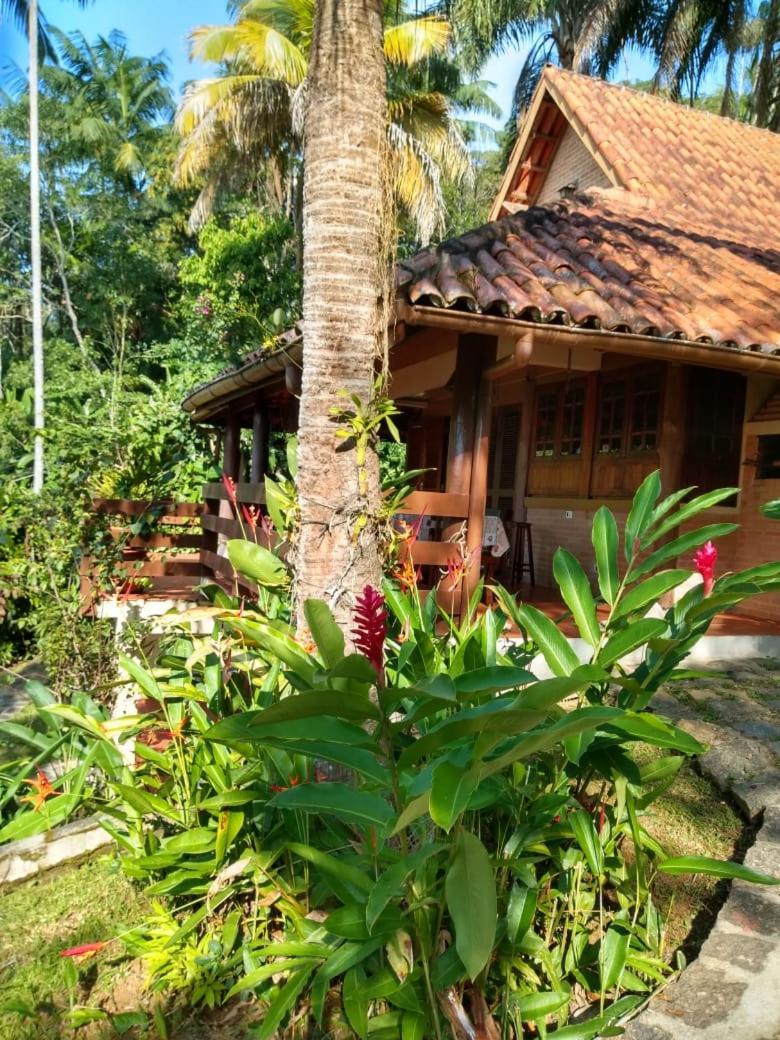 Casa com linda vista para o mar para amantes da natureza