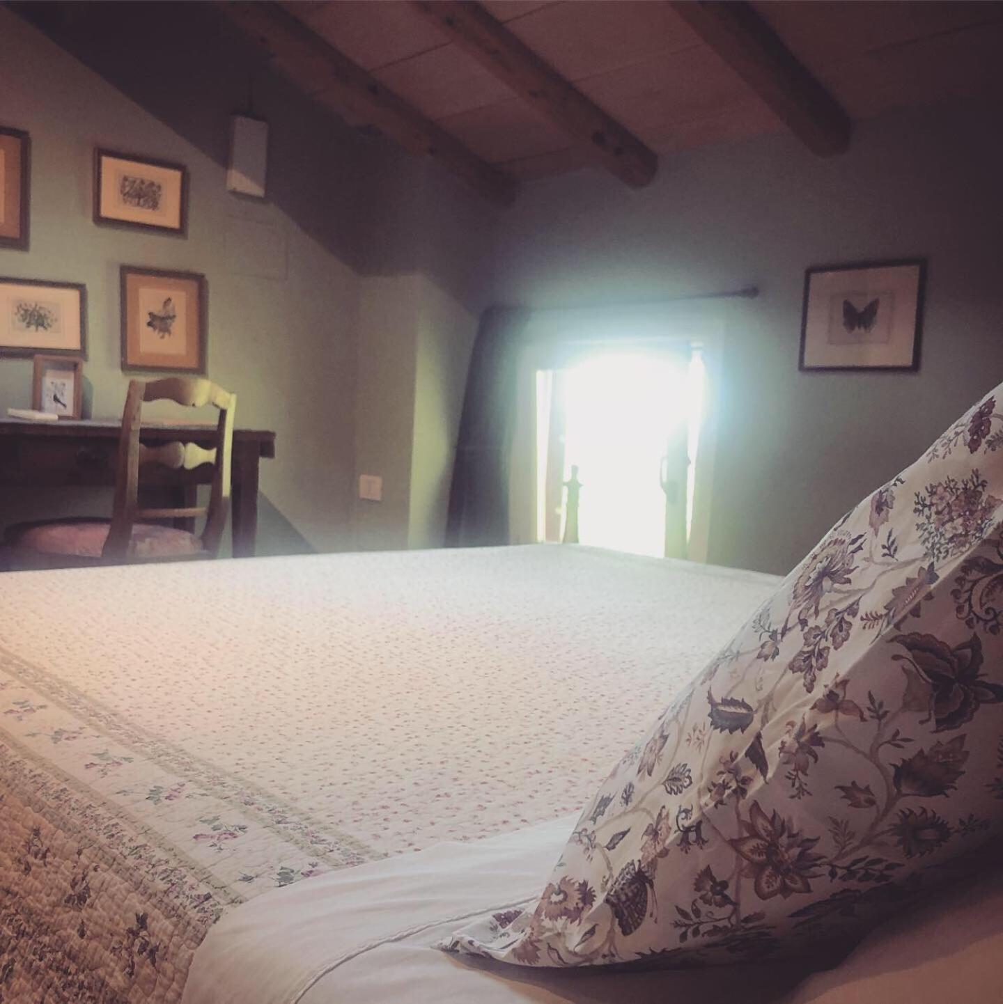 B&B Podere Merlo, photo 18
