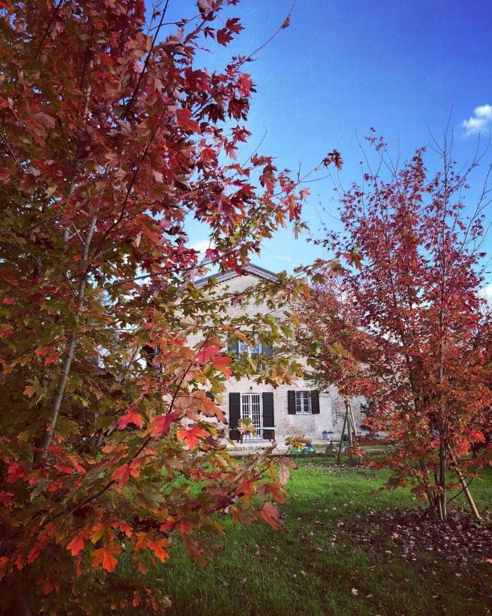 B&B Podere Merlo photo 3