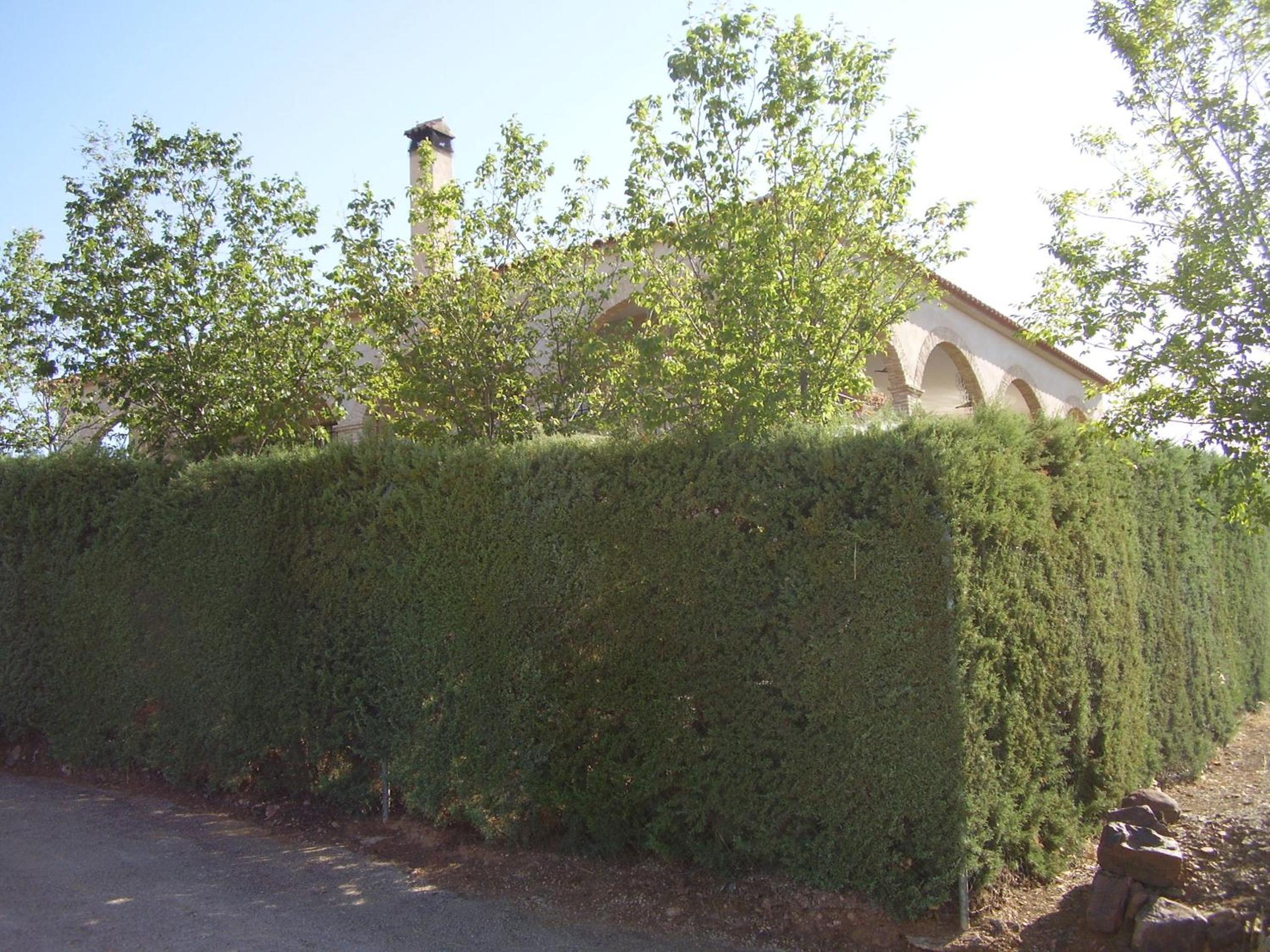Photo 33