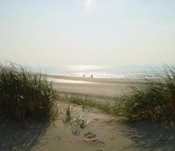 Zonnig Zuid
