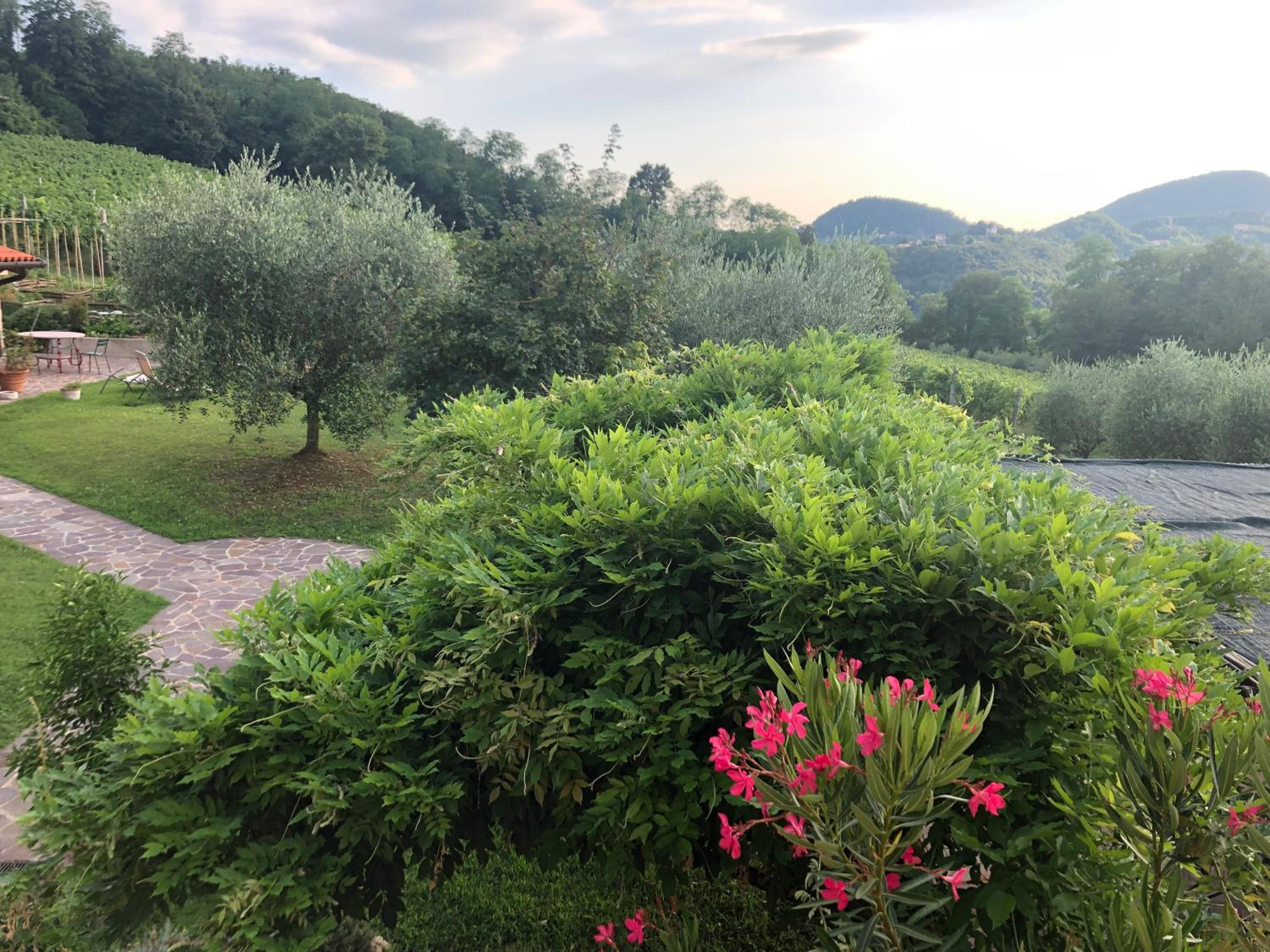 Agriturismo Terre Bianche