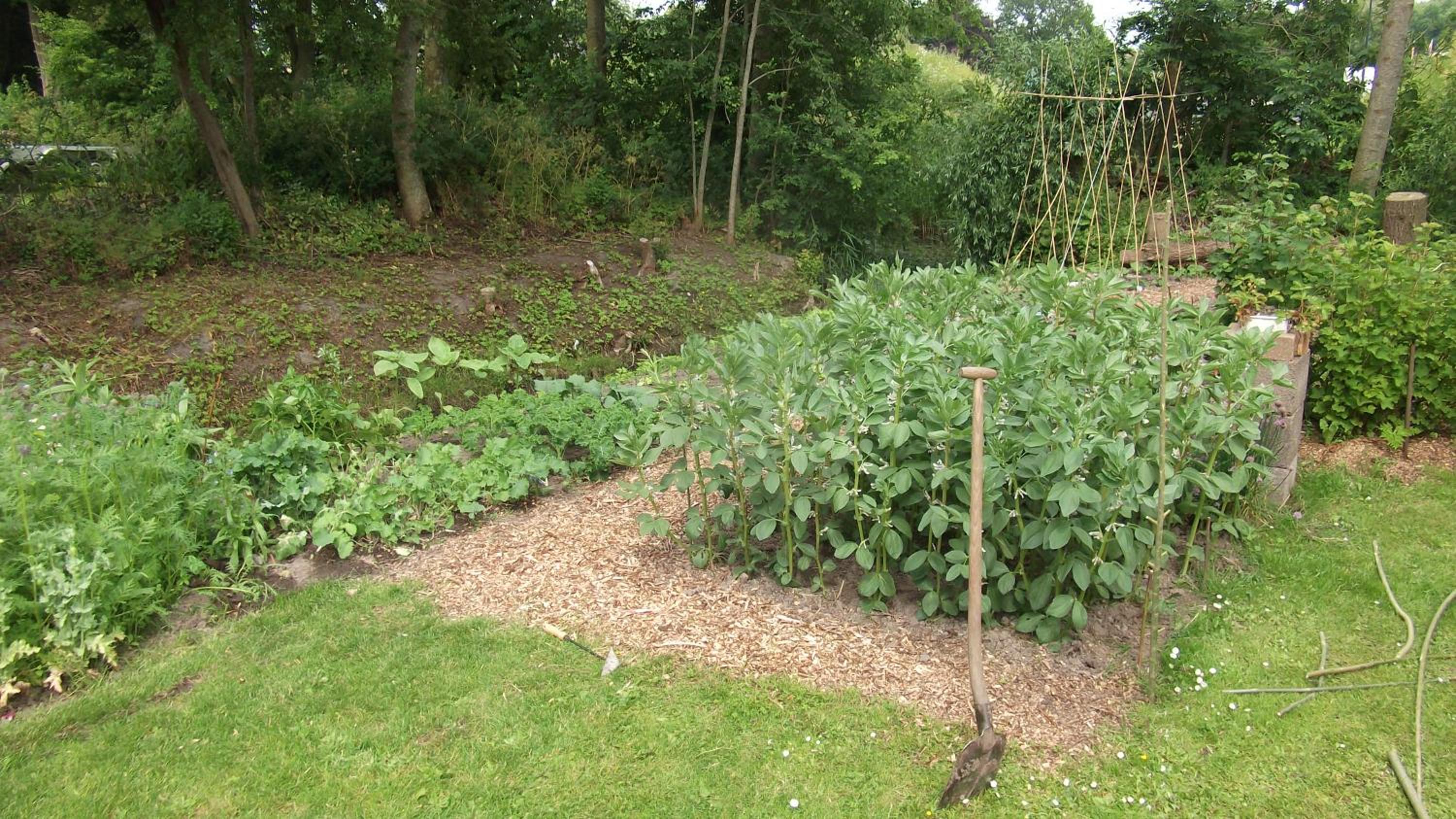 Photo 28