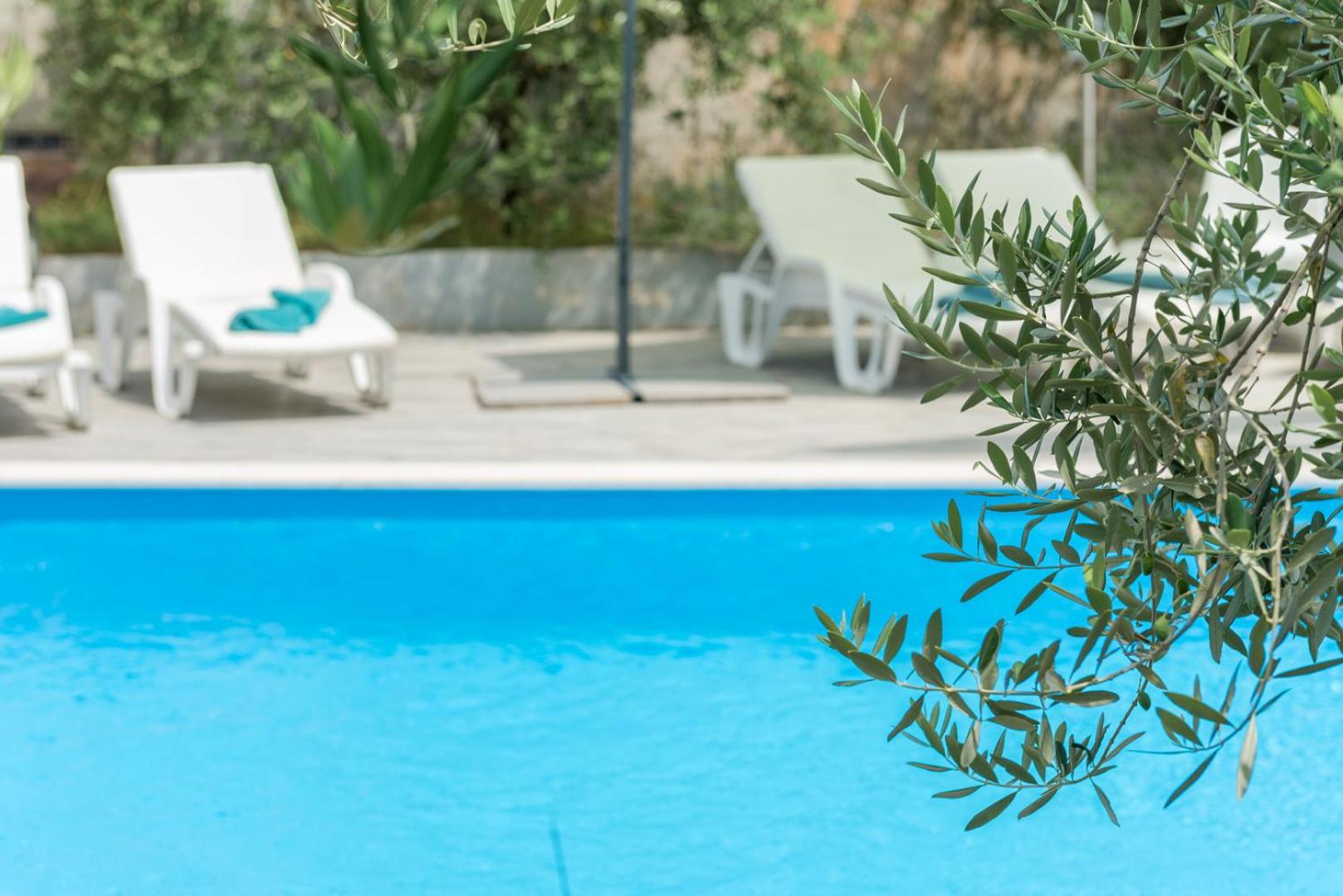 Luxury villa Nika with pool near the beach, extra pool heating available view 4