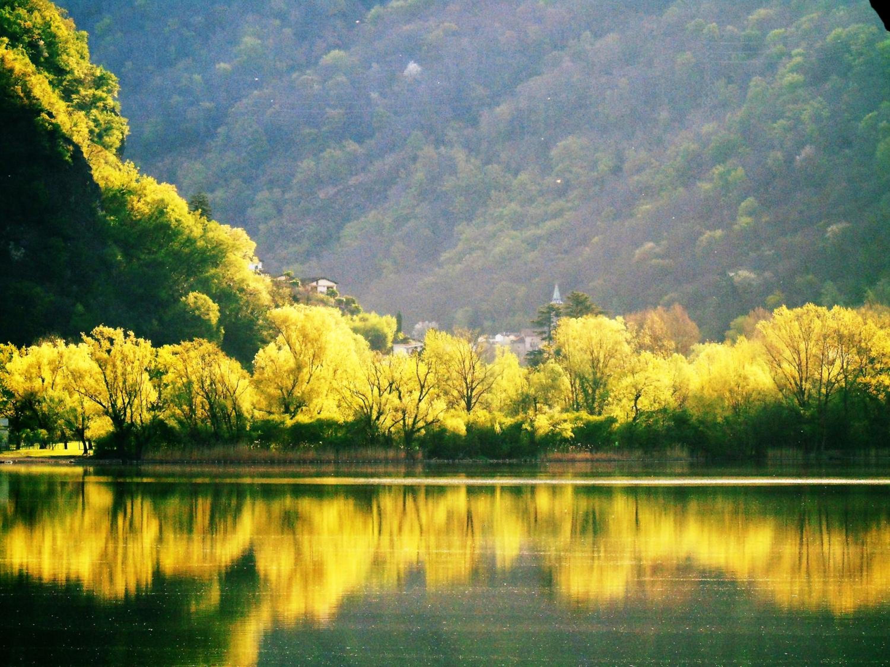 apartment Lac Brusimpiano