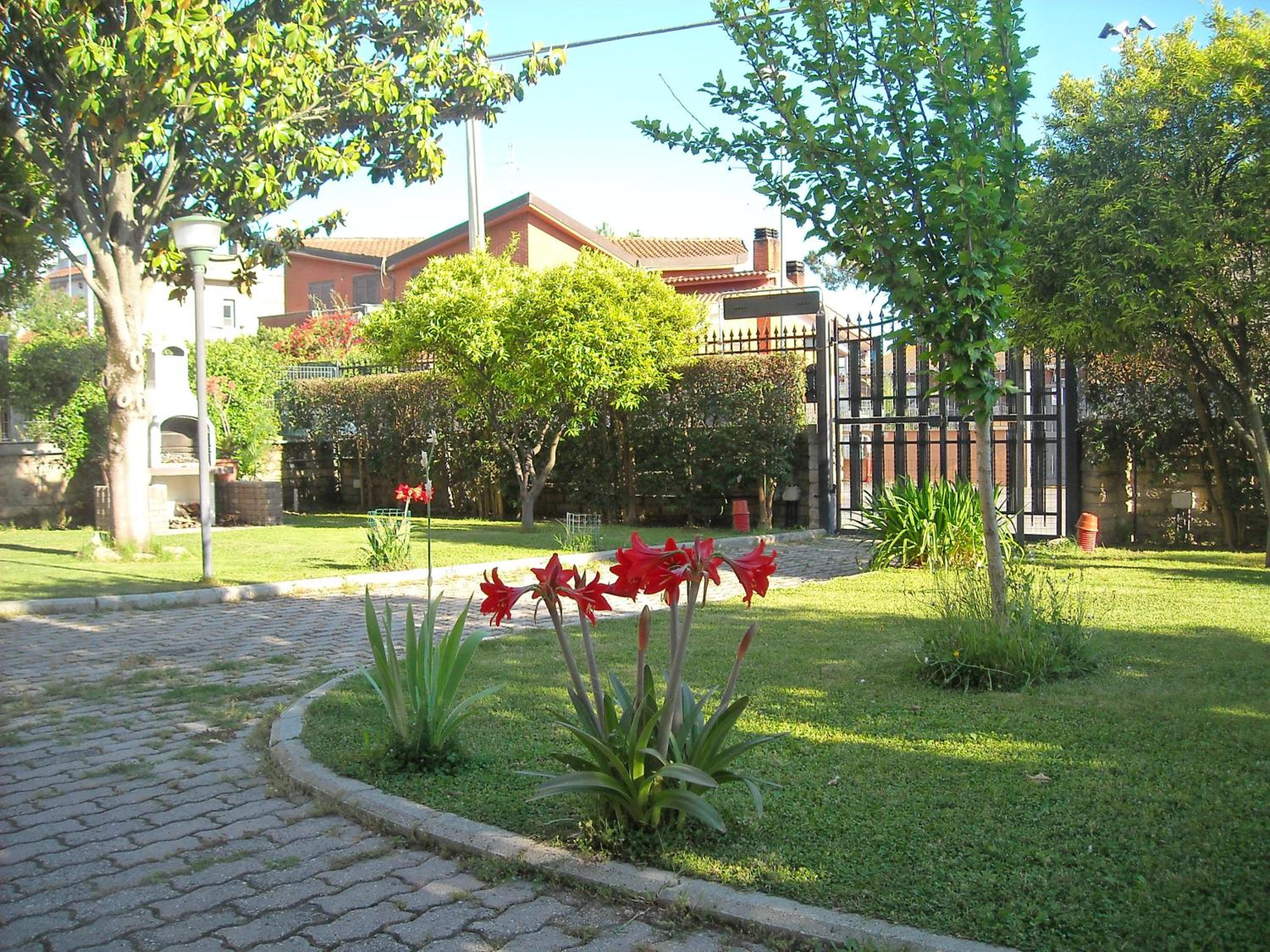 Photo 10