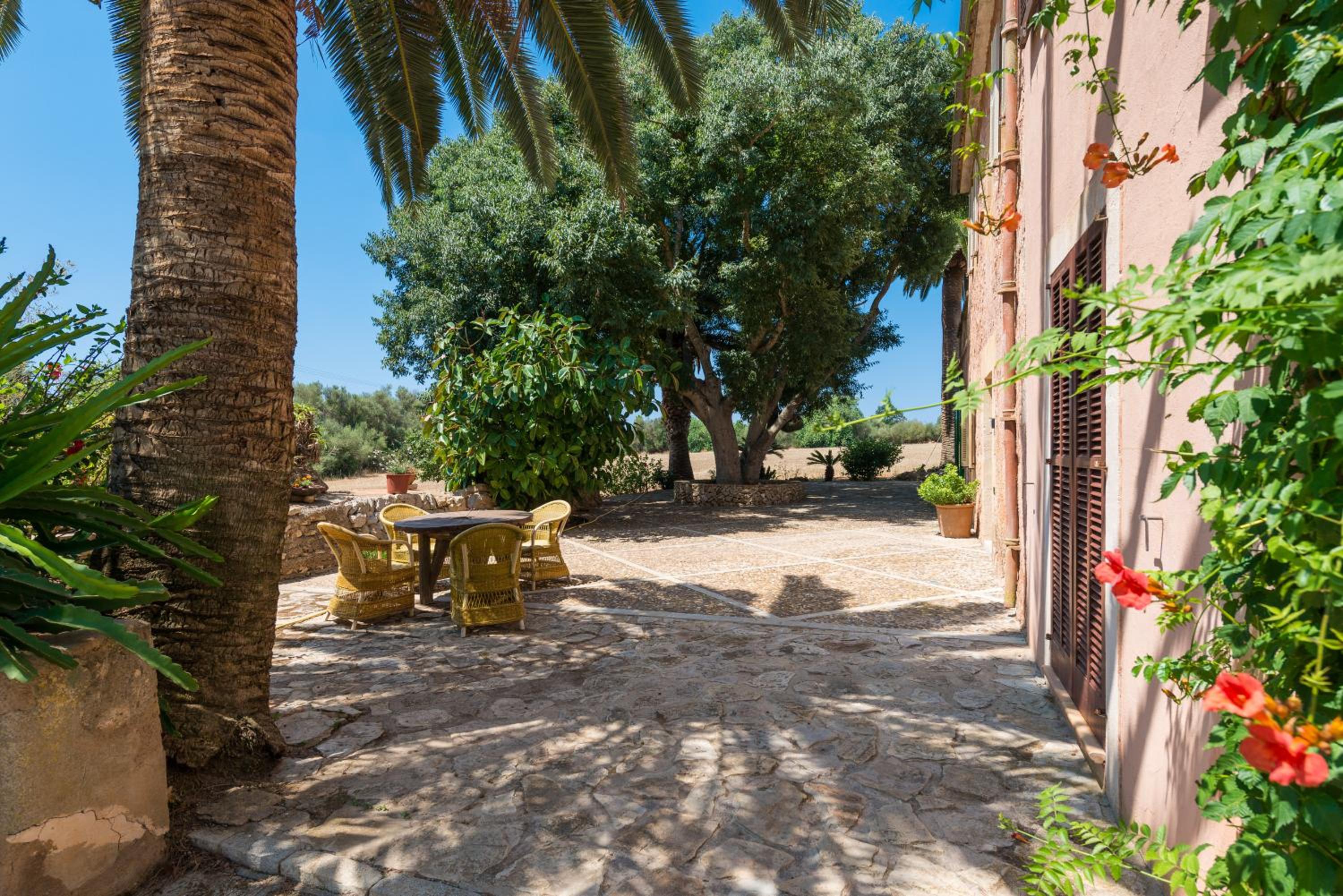 VILLA CAN RITO view 5