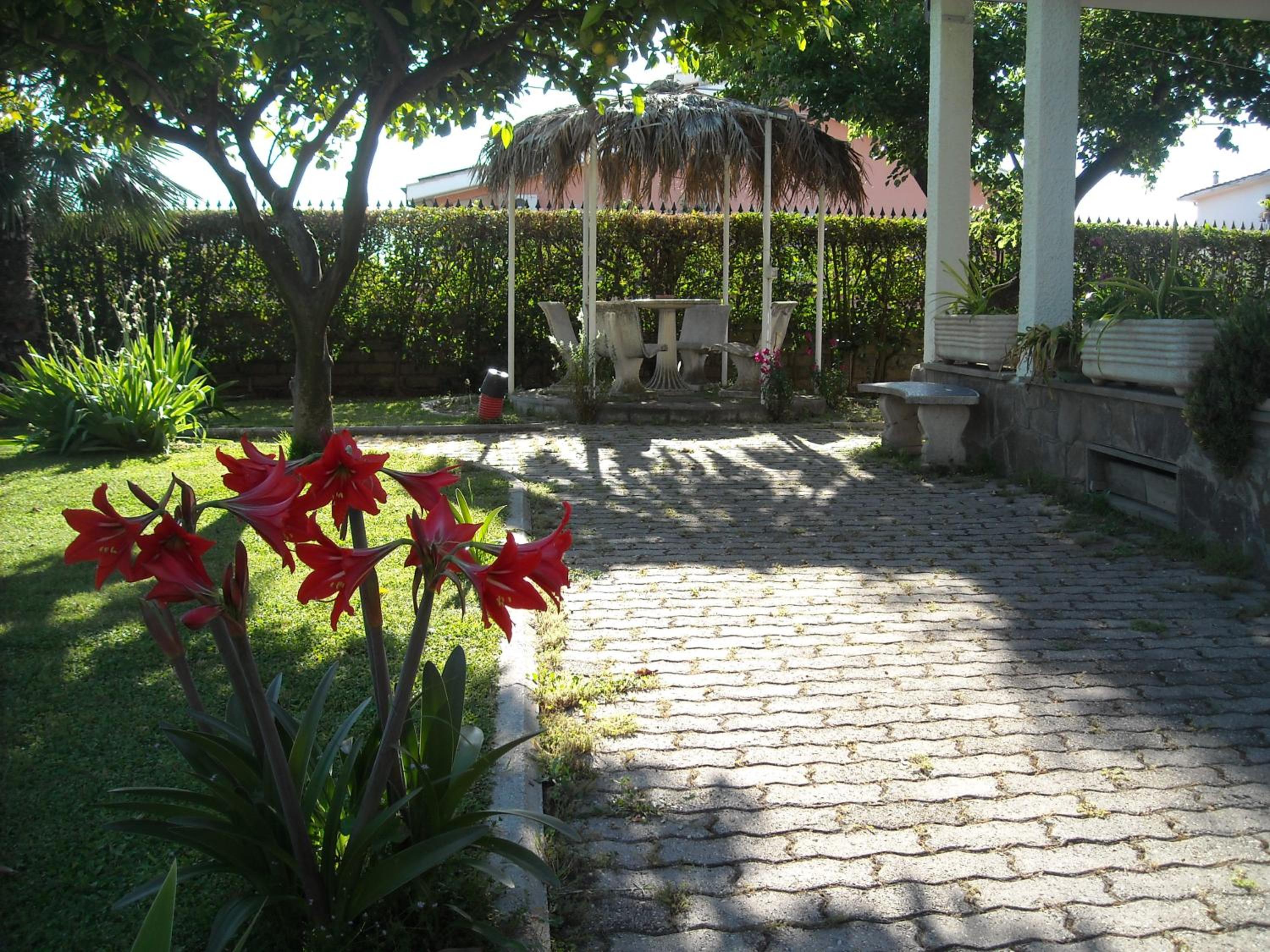Photo 7
