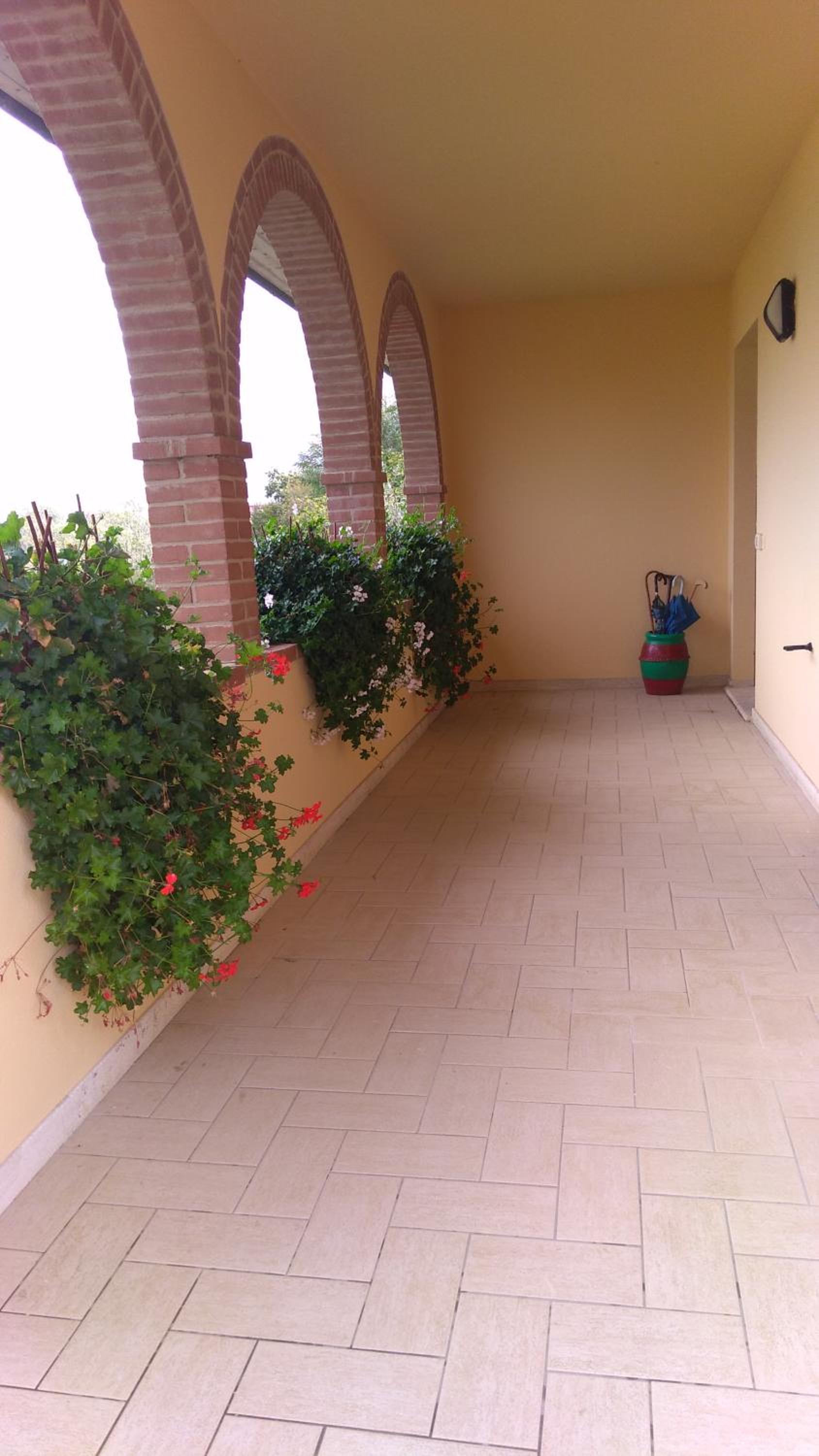 Photo 51