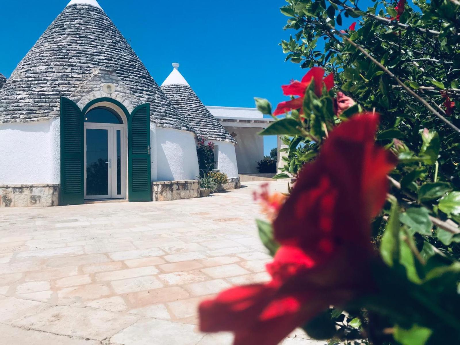 I Trulli di Gina Appartamento Trullo 6 persone view 2