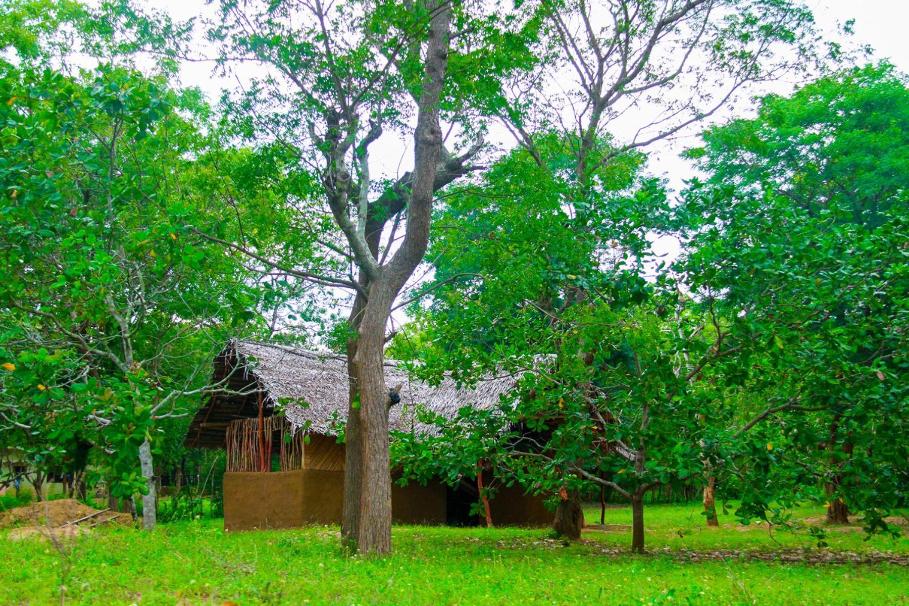 Yala Way Hide Resort