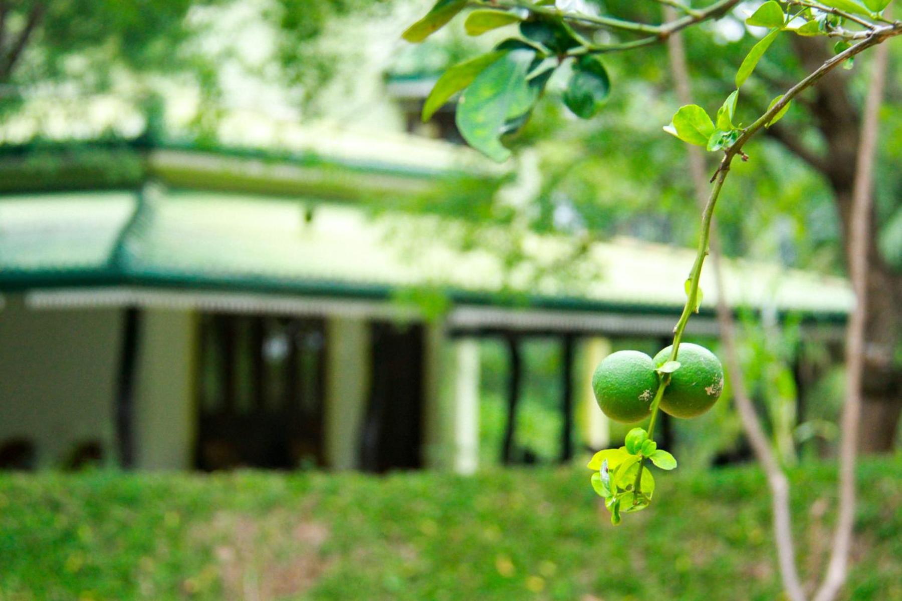 Yala Way Hide Resort
