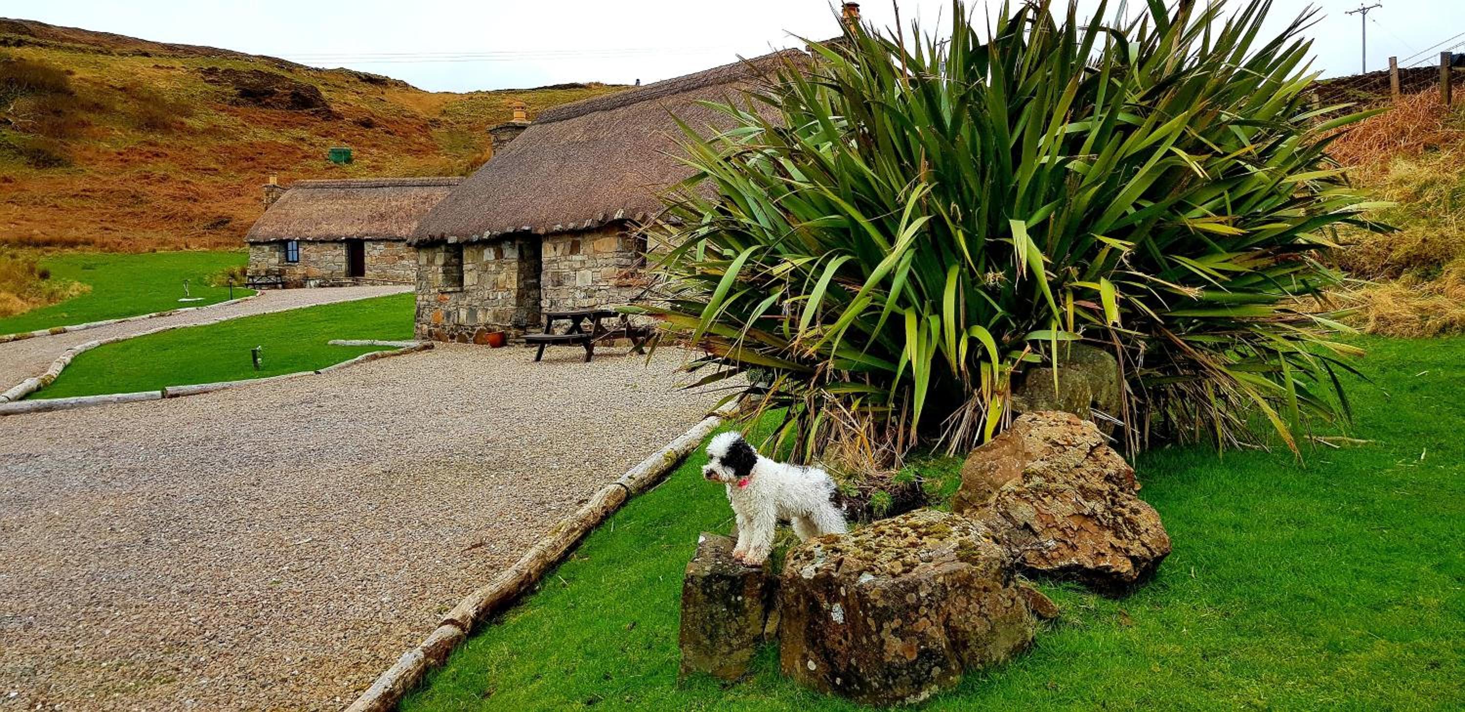 Tigh Lachie, Mary's Thatched Cottages, Elgol, Isle of Skye view 4