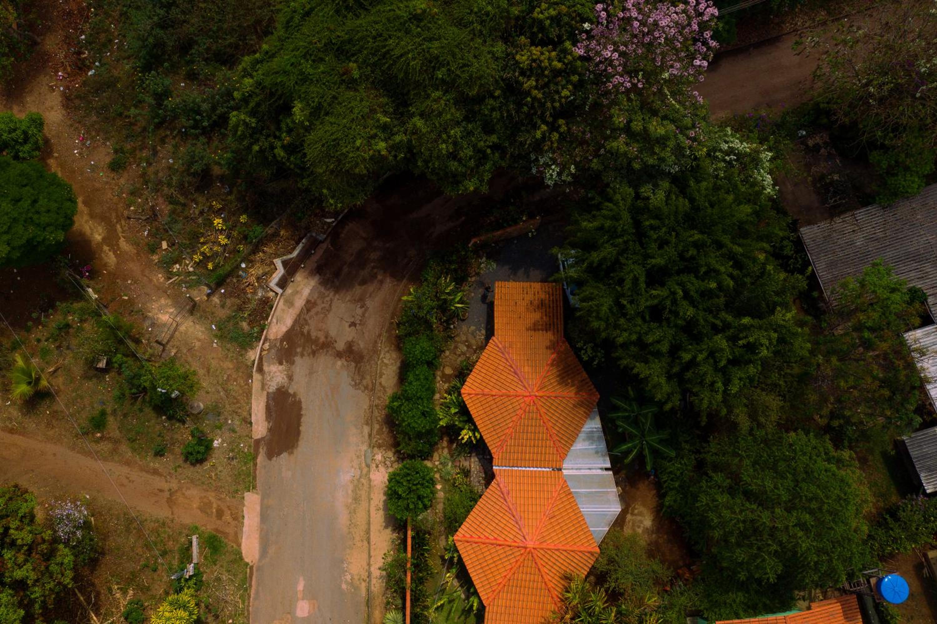 Chalé Ipê - Jatobá