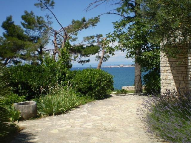 Photo 28