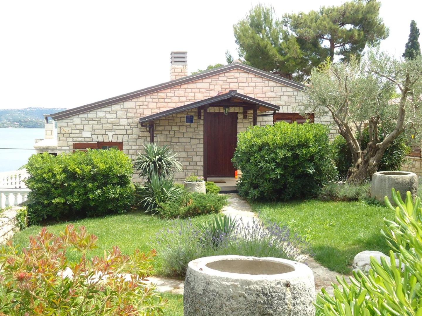 Photo 13