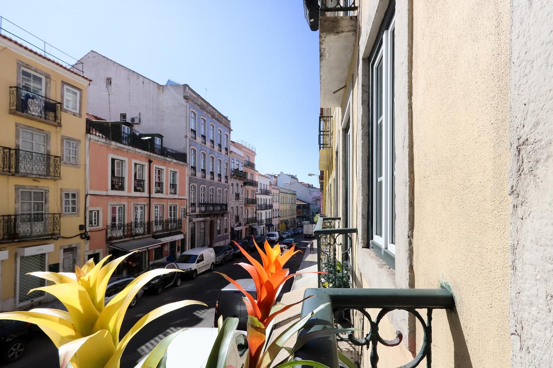 Charming and Stylish Downtown Apt in XIX century building view 3