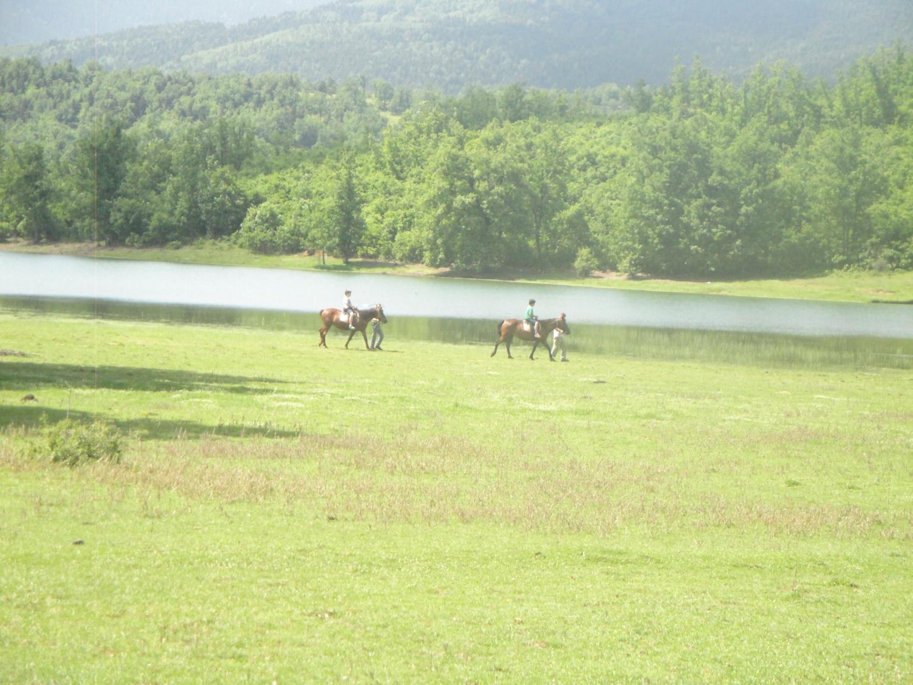 Photo 42