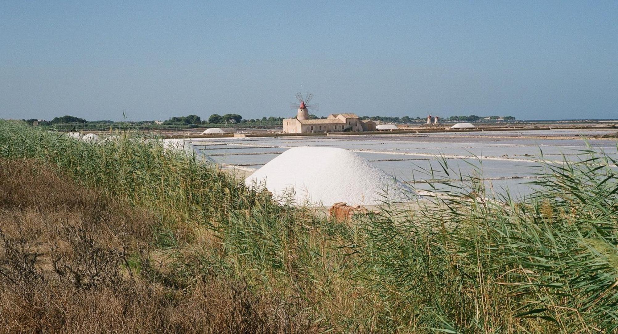 Laguna dei Fenici