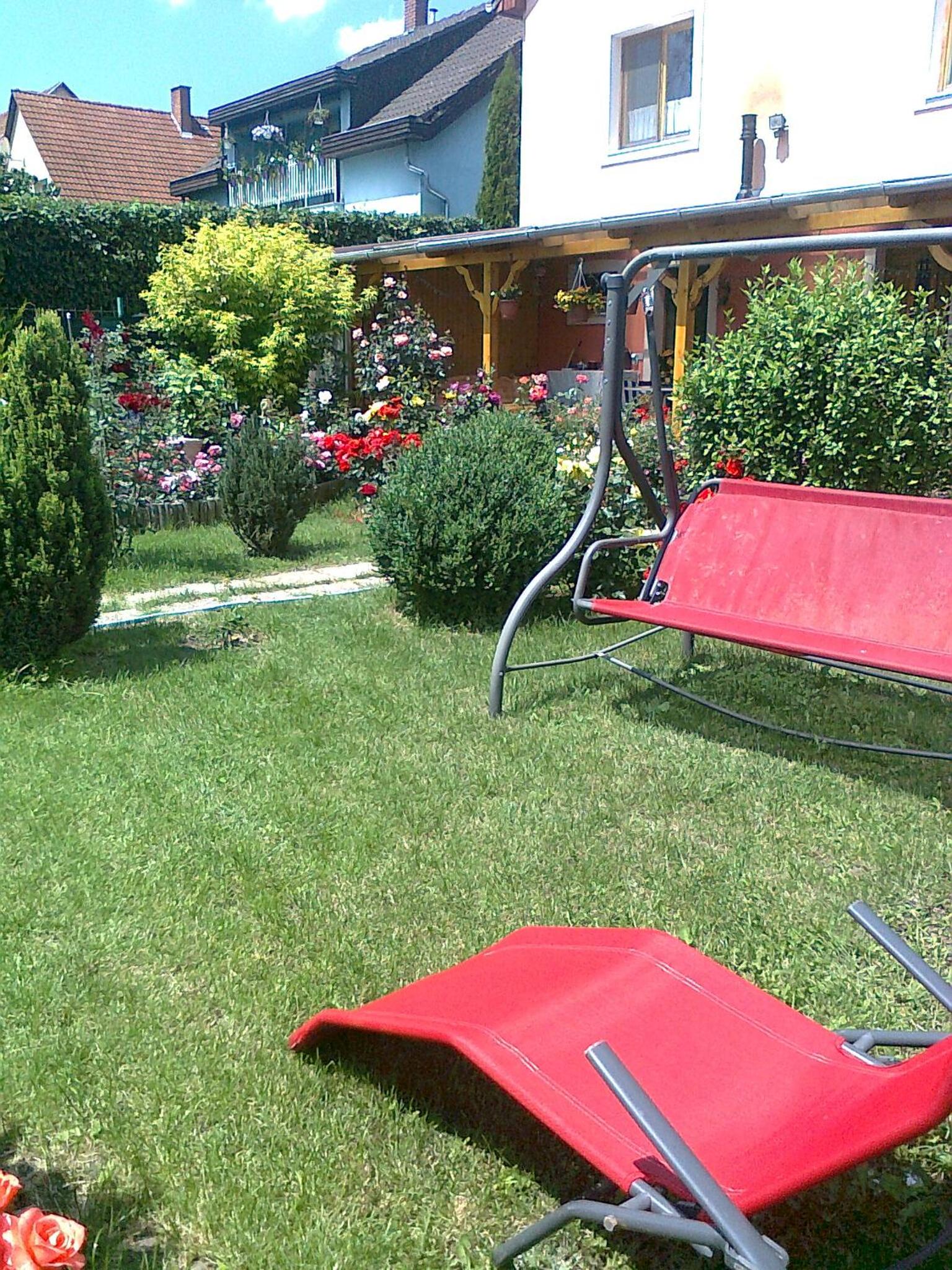 Photo 64