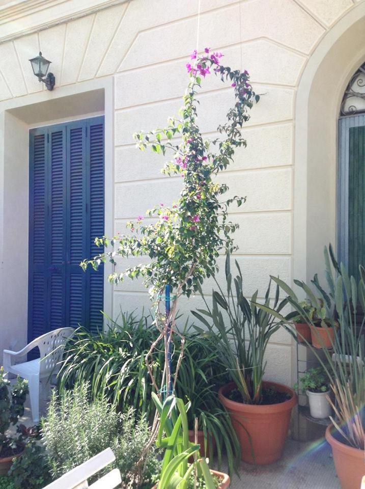 Casa Fornaciari
