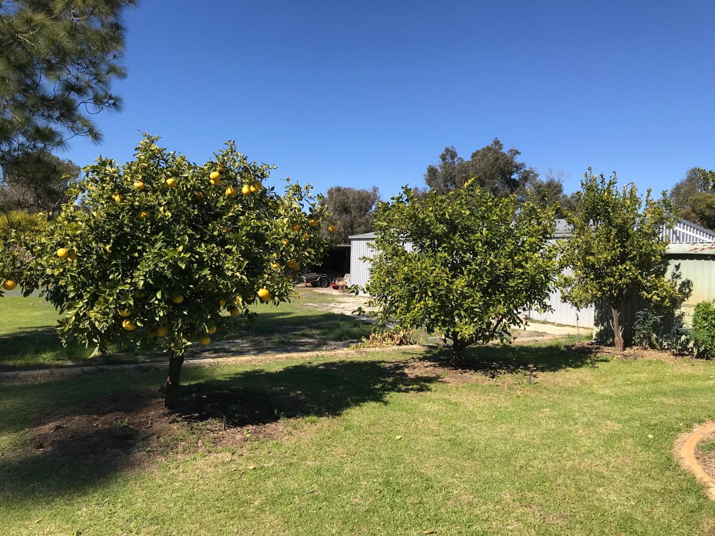 Cockburn Retreat Home 柏斯悠閒民宿