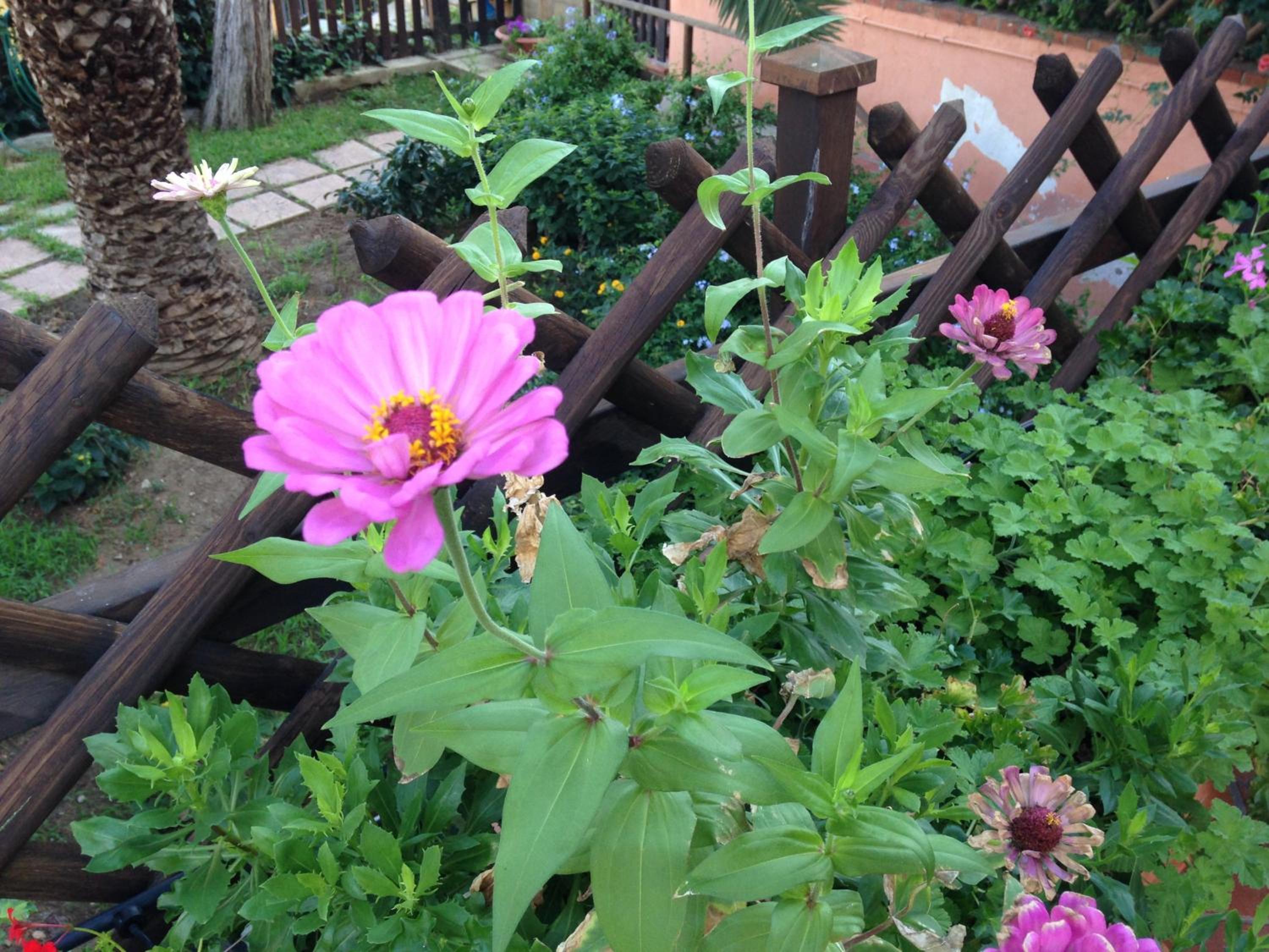 B&B Villa Di Giorgi