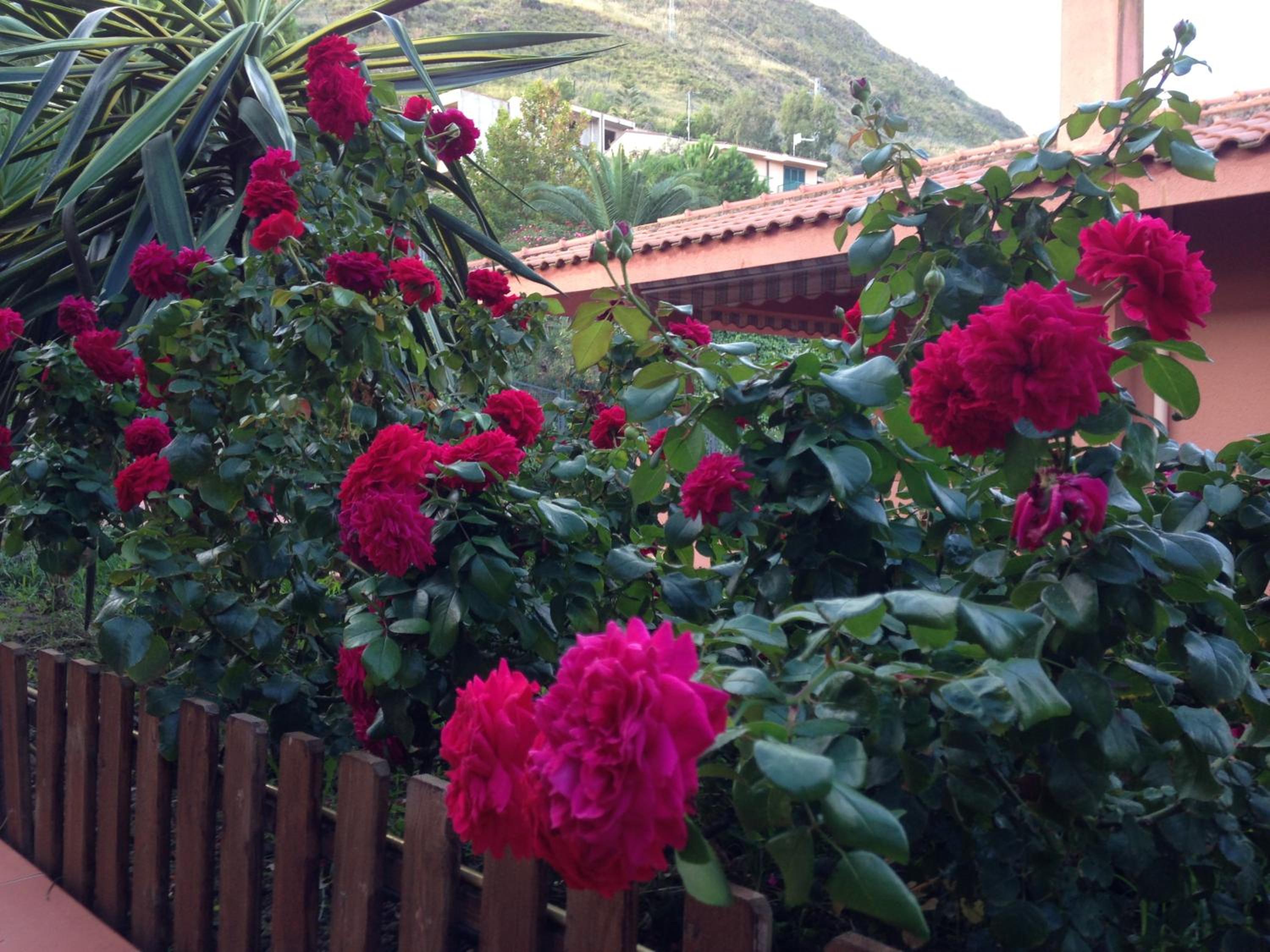 B&B Villa Di Giorgi
