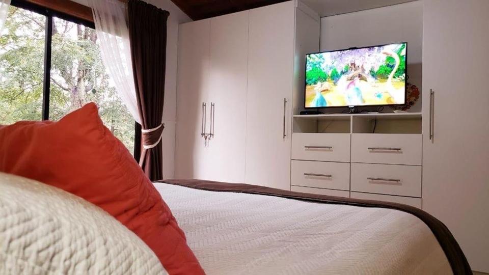 Brisas del Lago Pucon