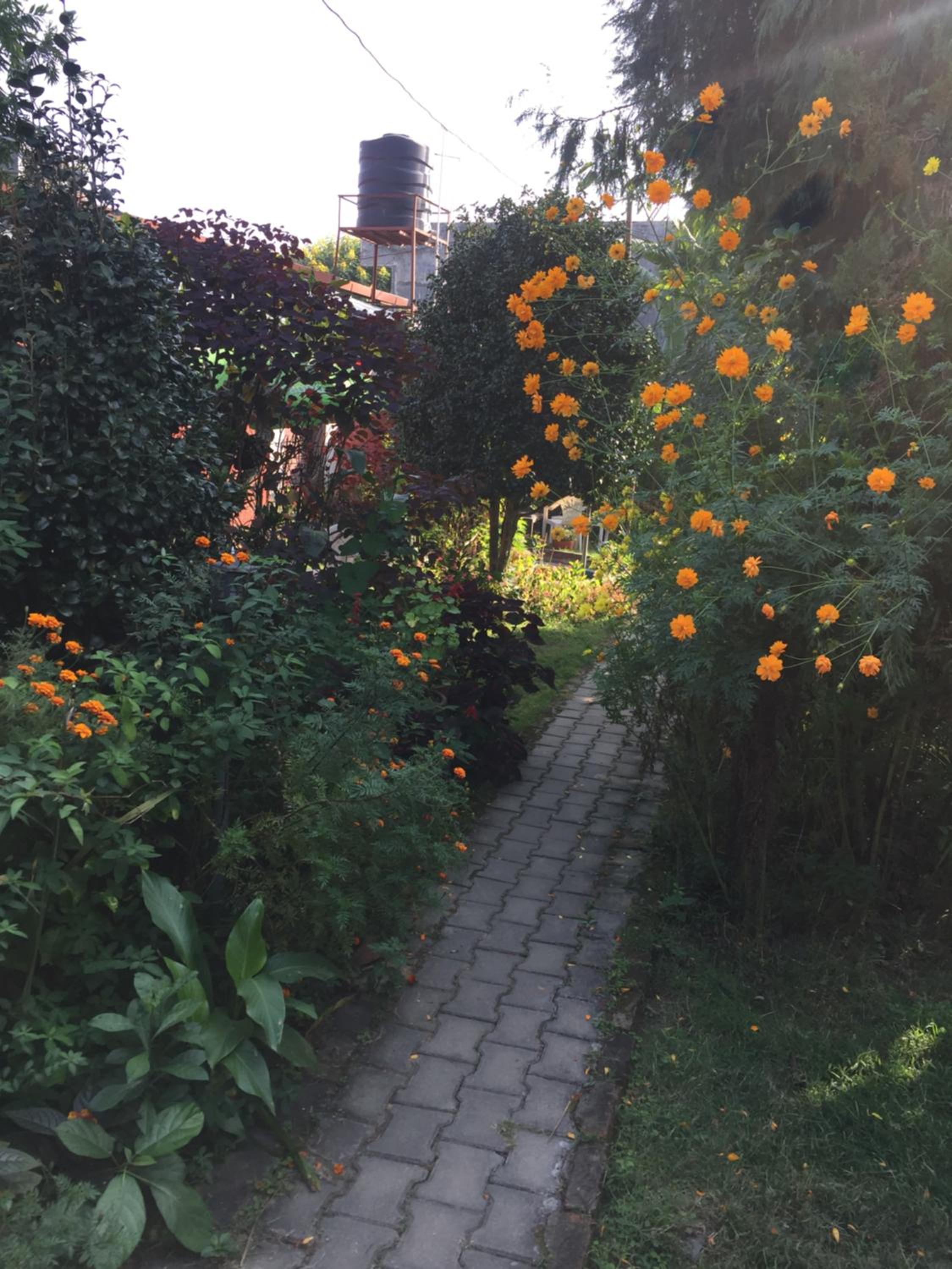 Photo 13