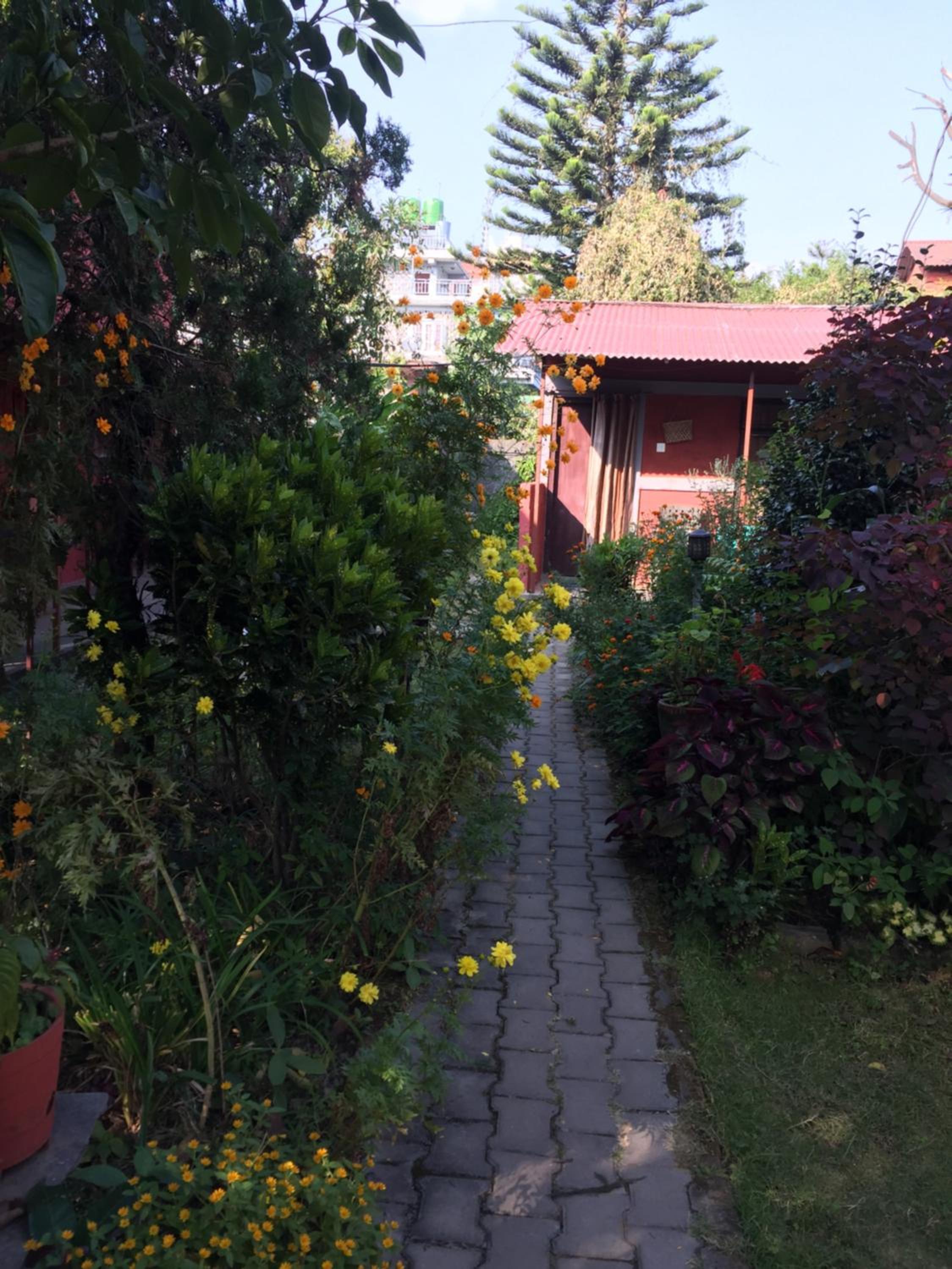 Photo 12