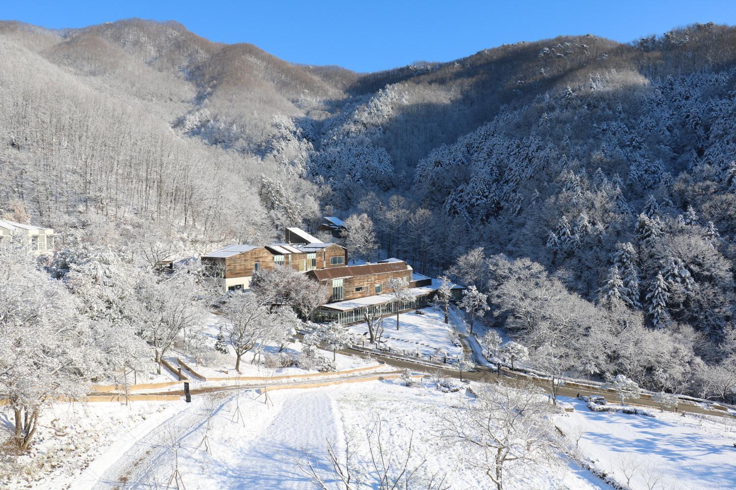 Healience Village