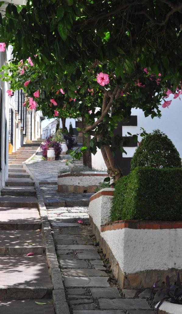 `PRECIOSA CASA ANDALUZA CON VISTAS view 2