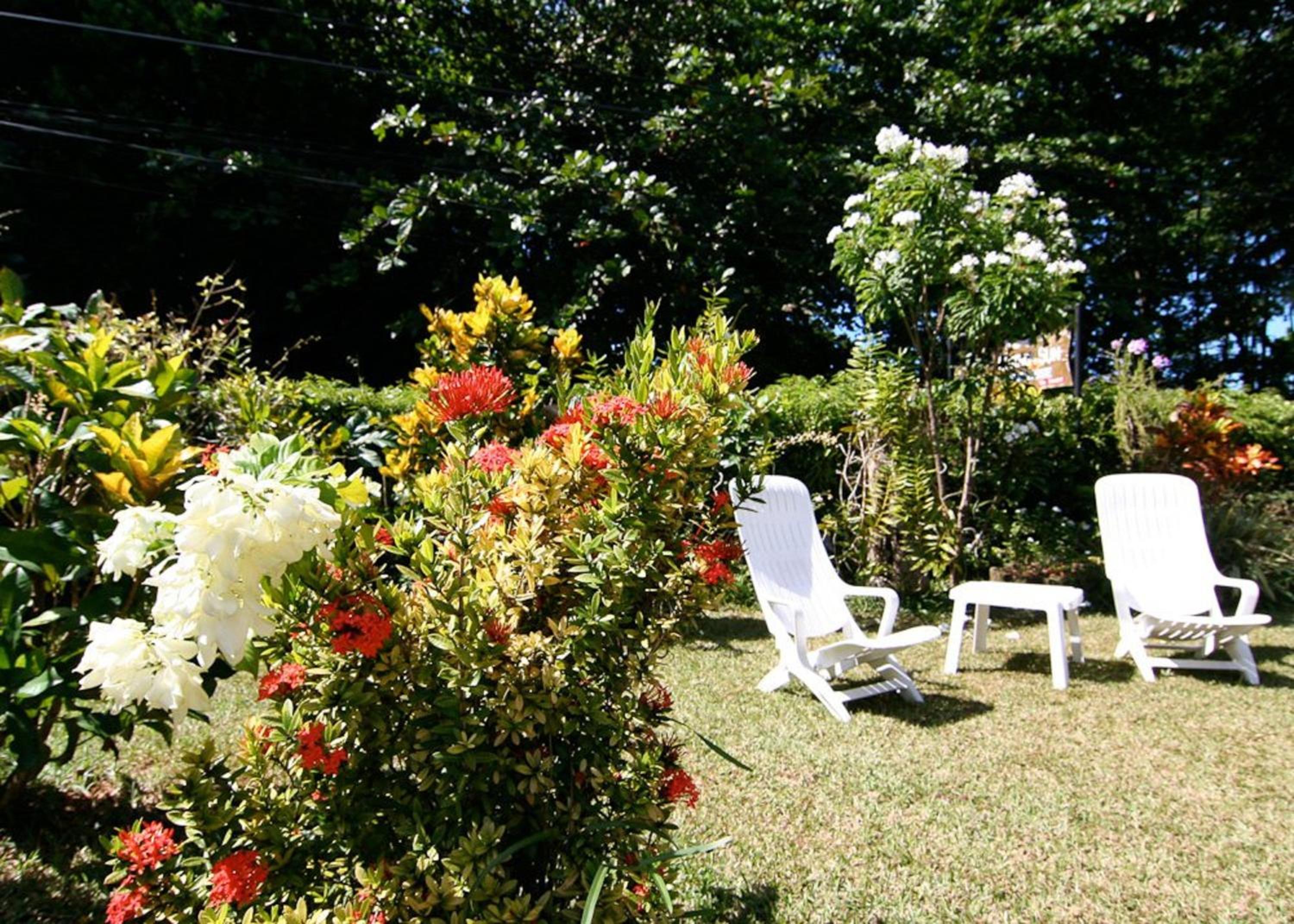 Rising Sun Guesthouse