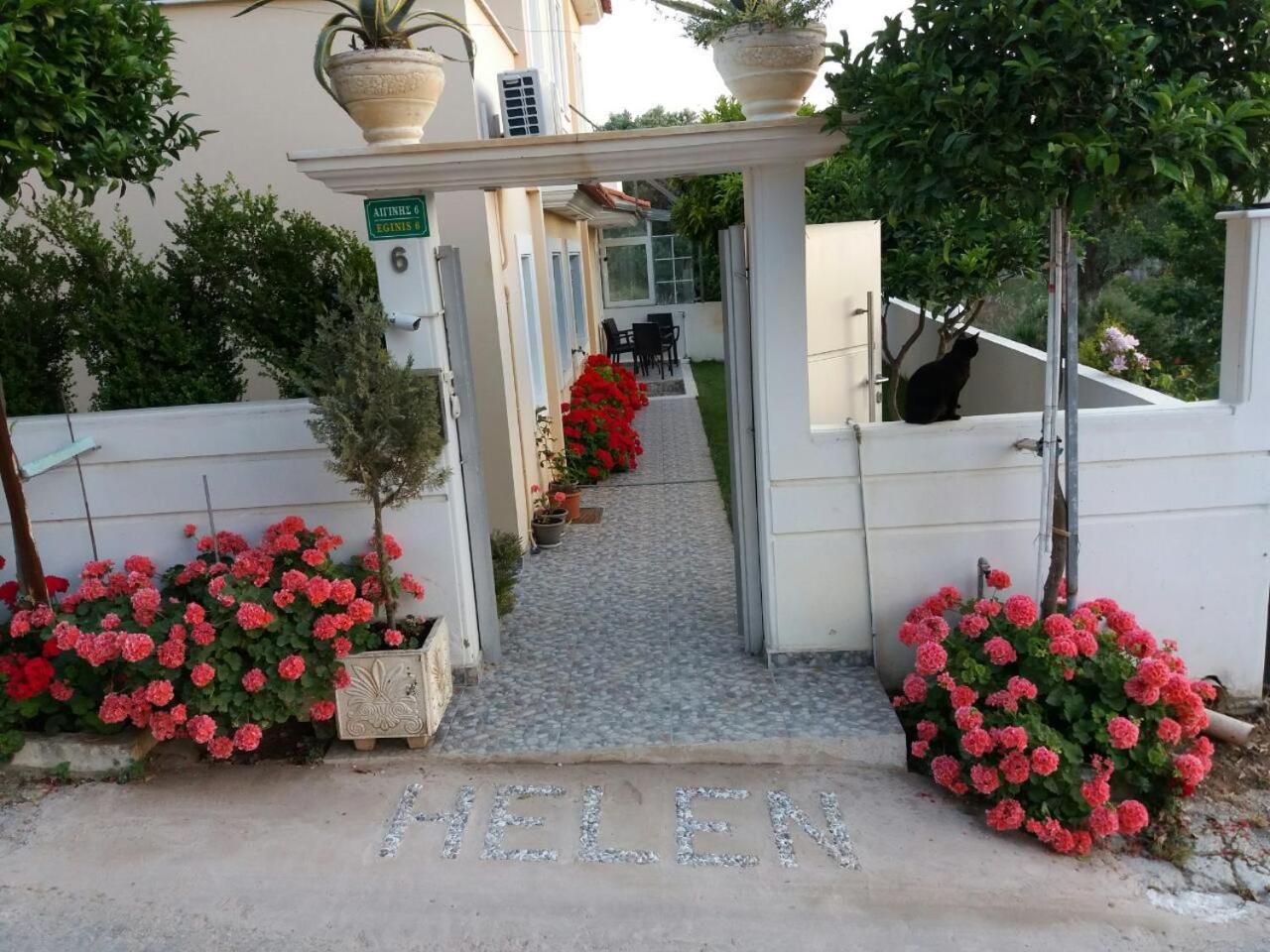 Photo 9