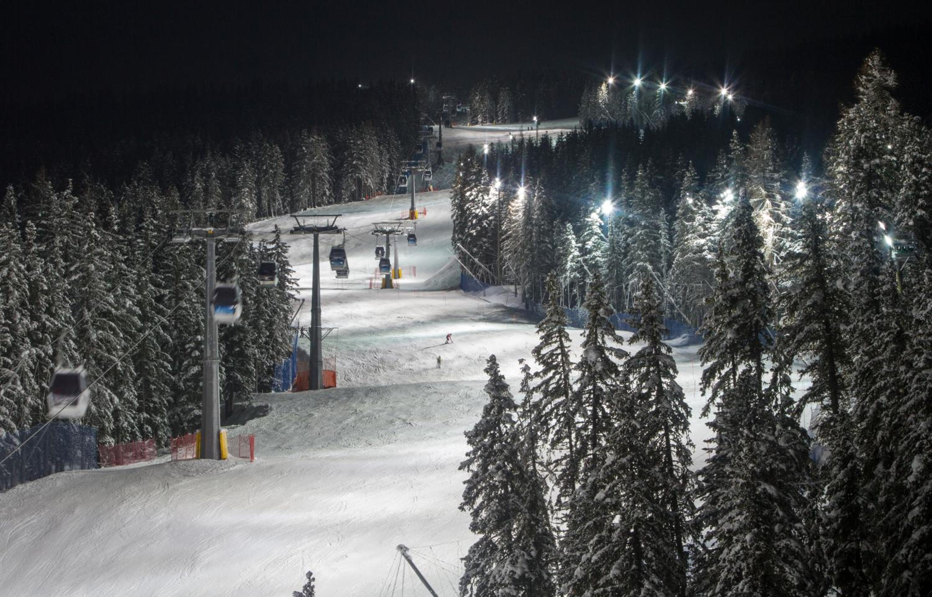 Photo 44