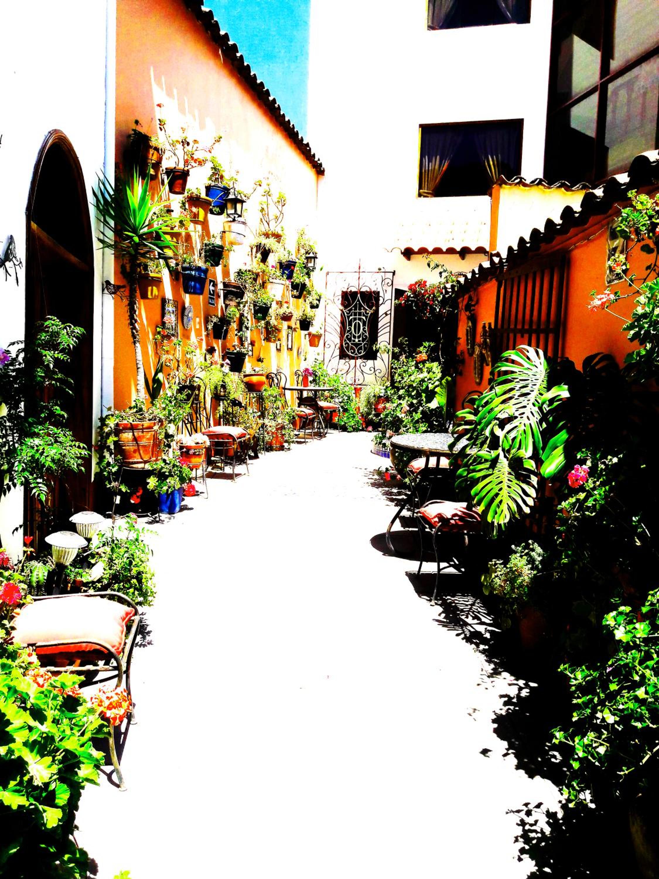 Hotel Sevilla view 3