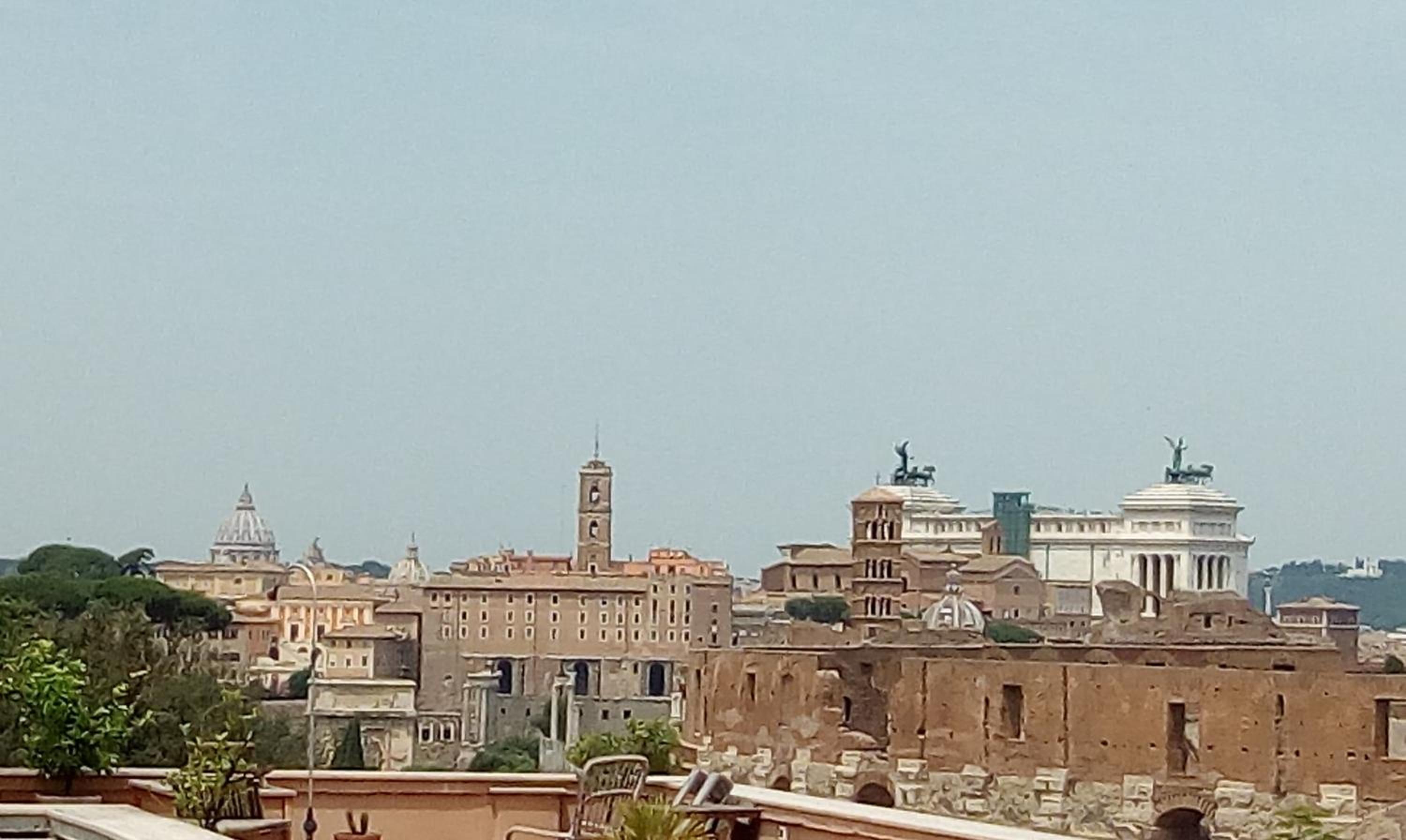 Il nido al Colosseo