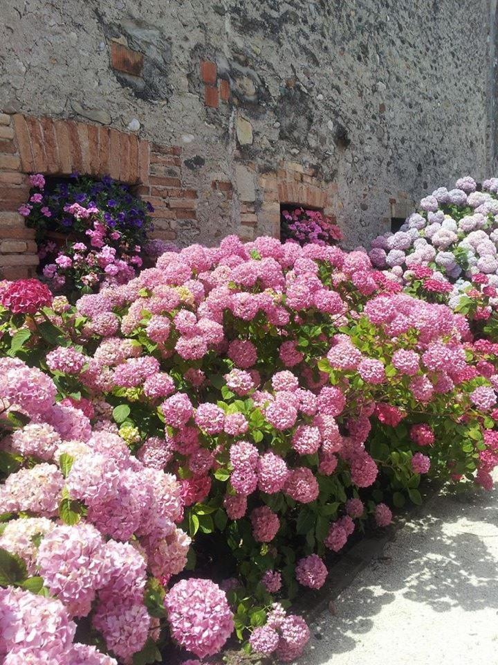 B&B Terre Di Bea