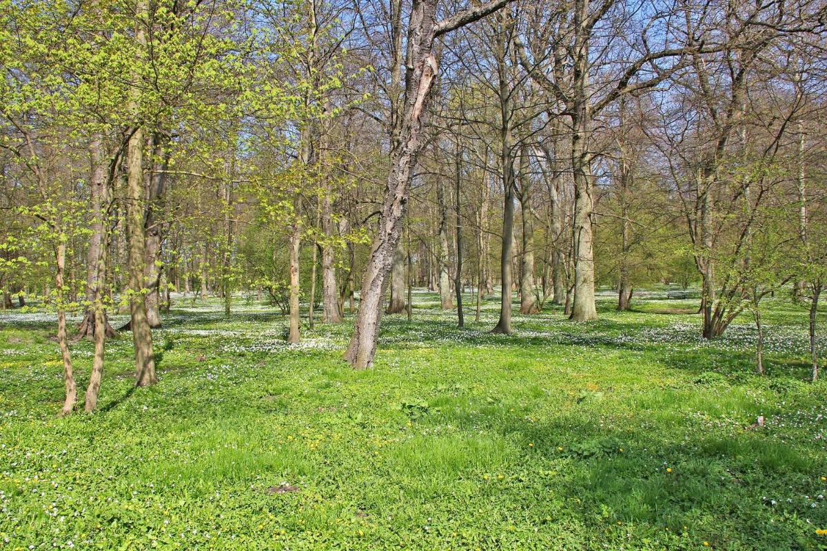 Ferienhaus Breege RUeG 1952