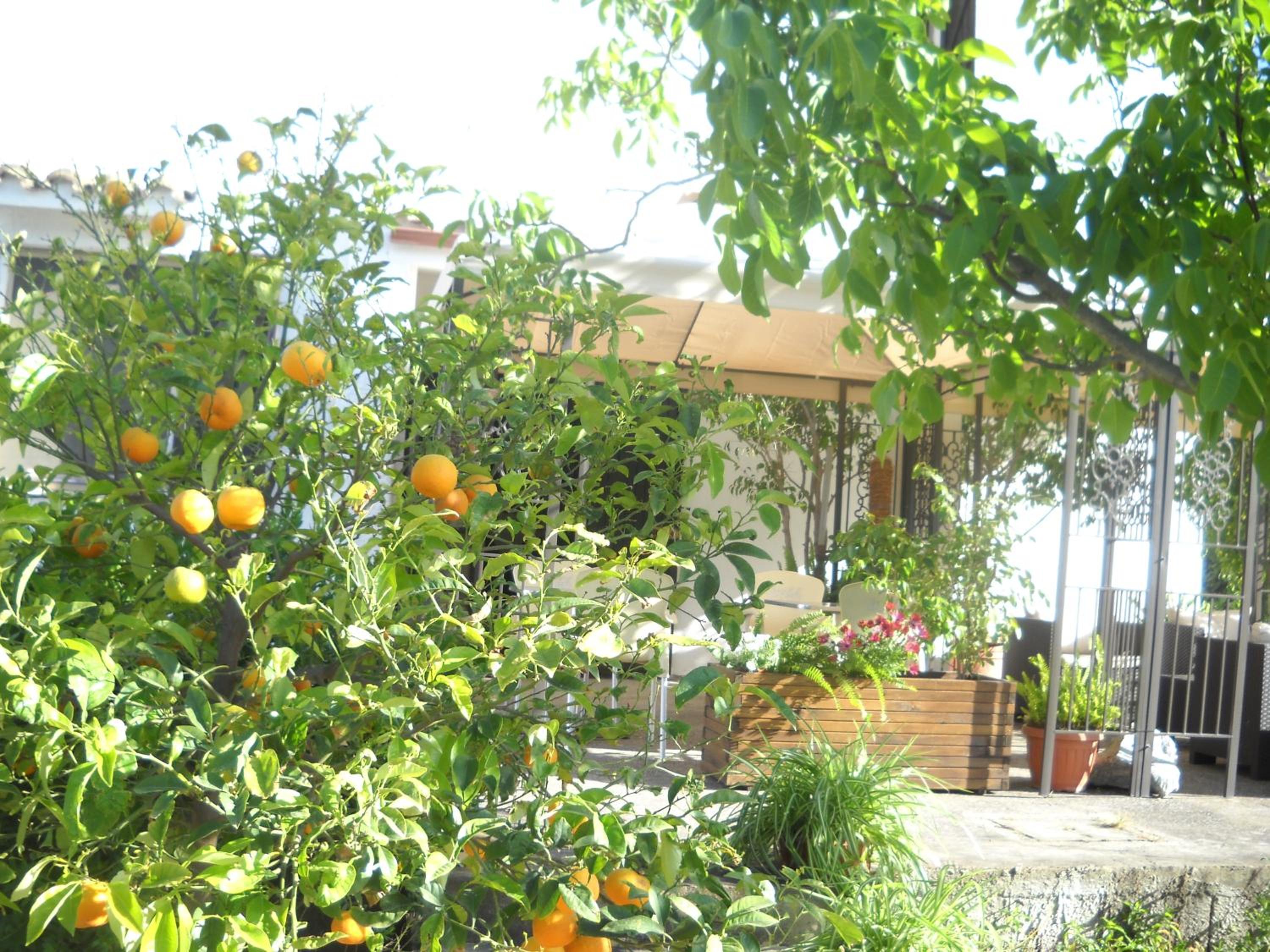 Belvedere Sul Mare