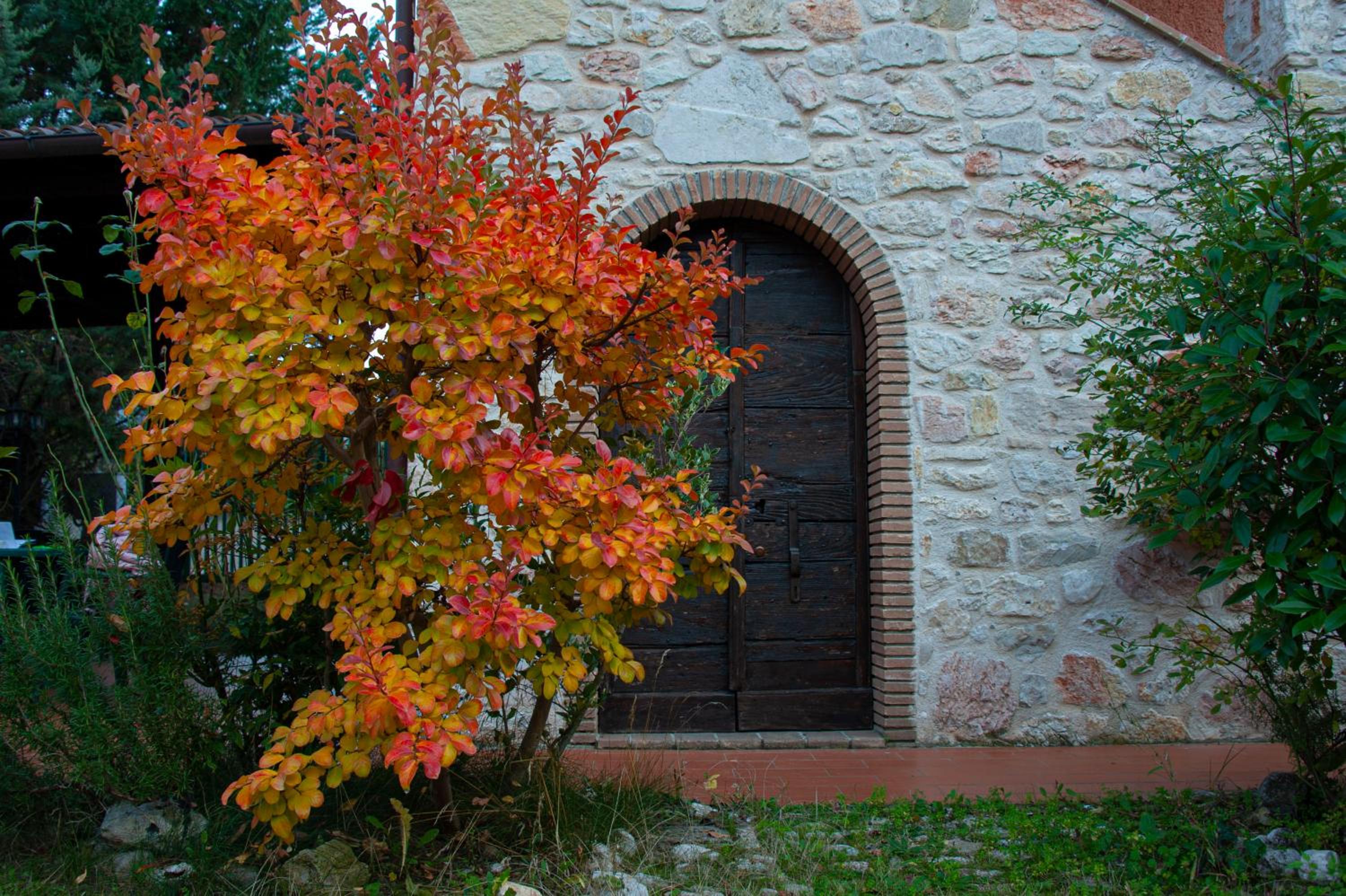 Photo 42