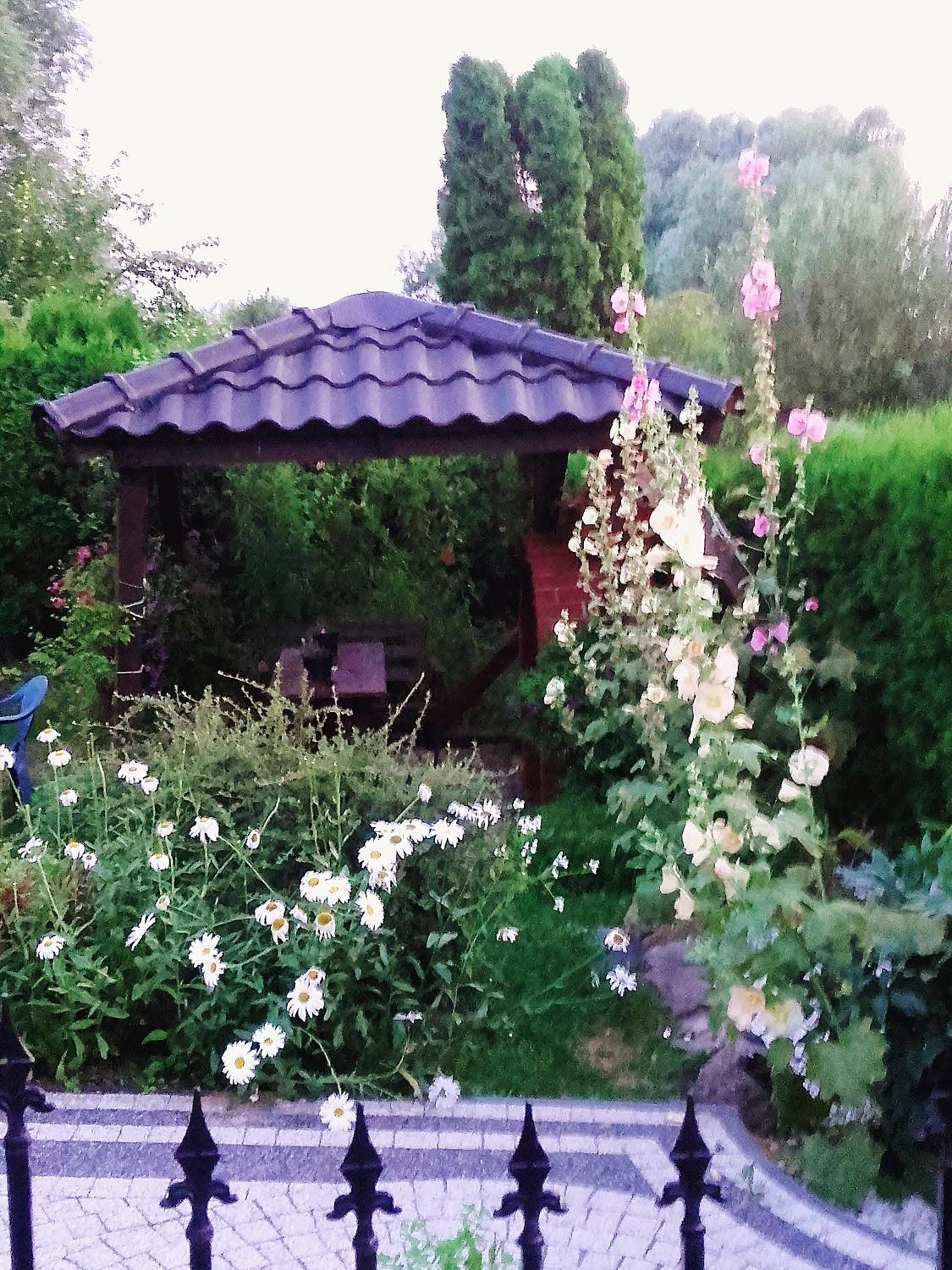 Photo 63