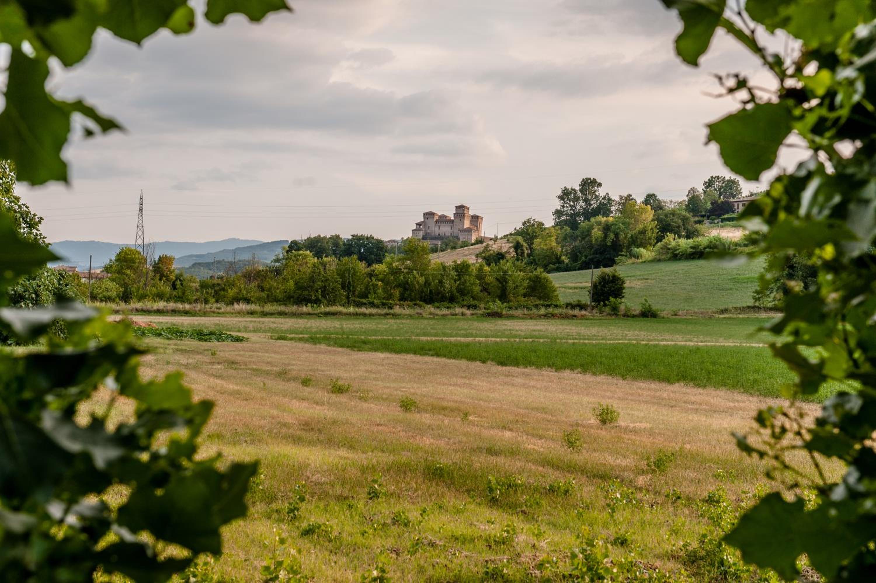 Bed & Breakfast Torrechiara view 5