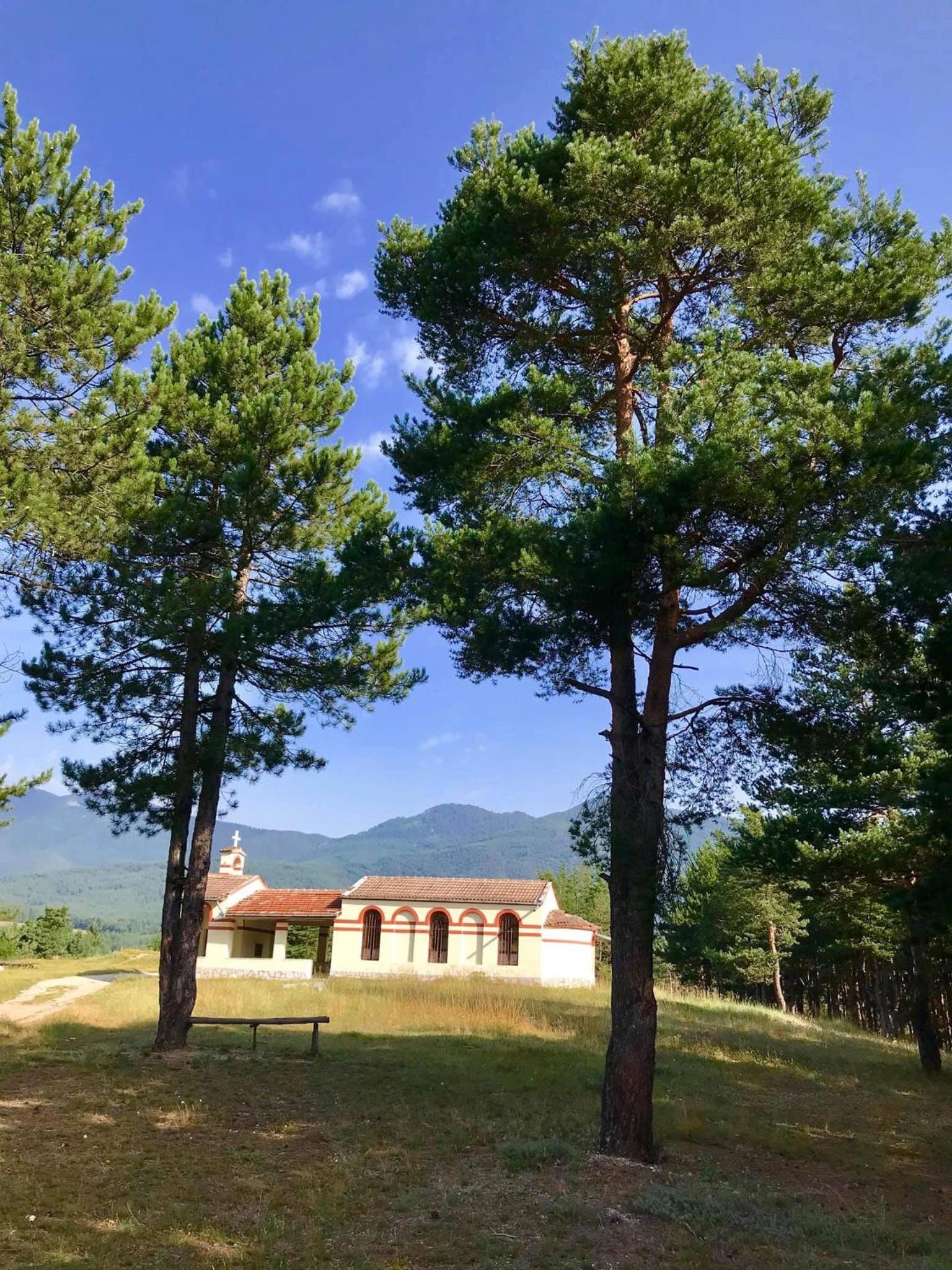 Borov park 3