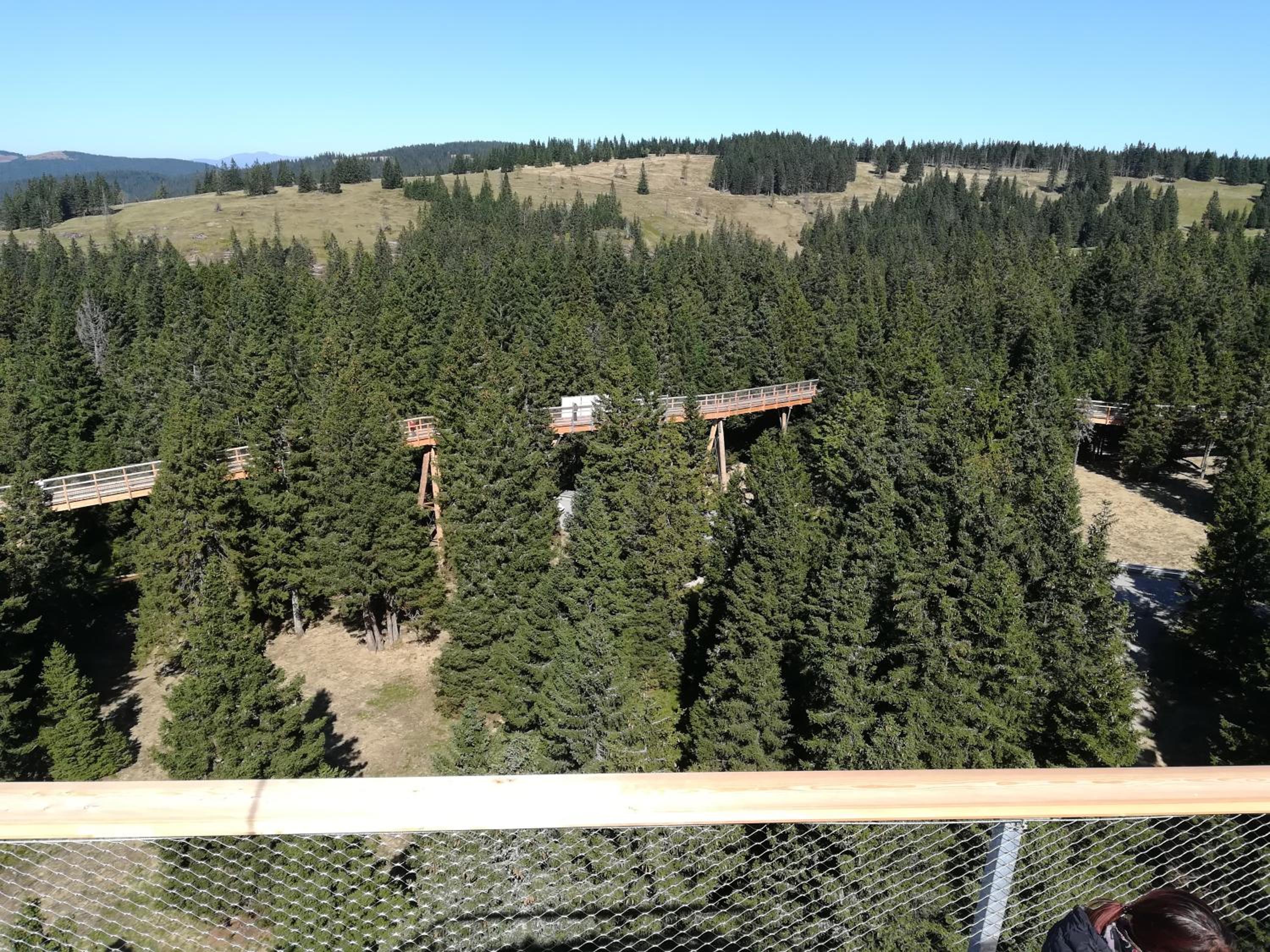 Apartma Borovnica Rogla view 5